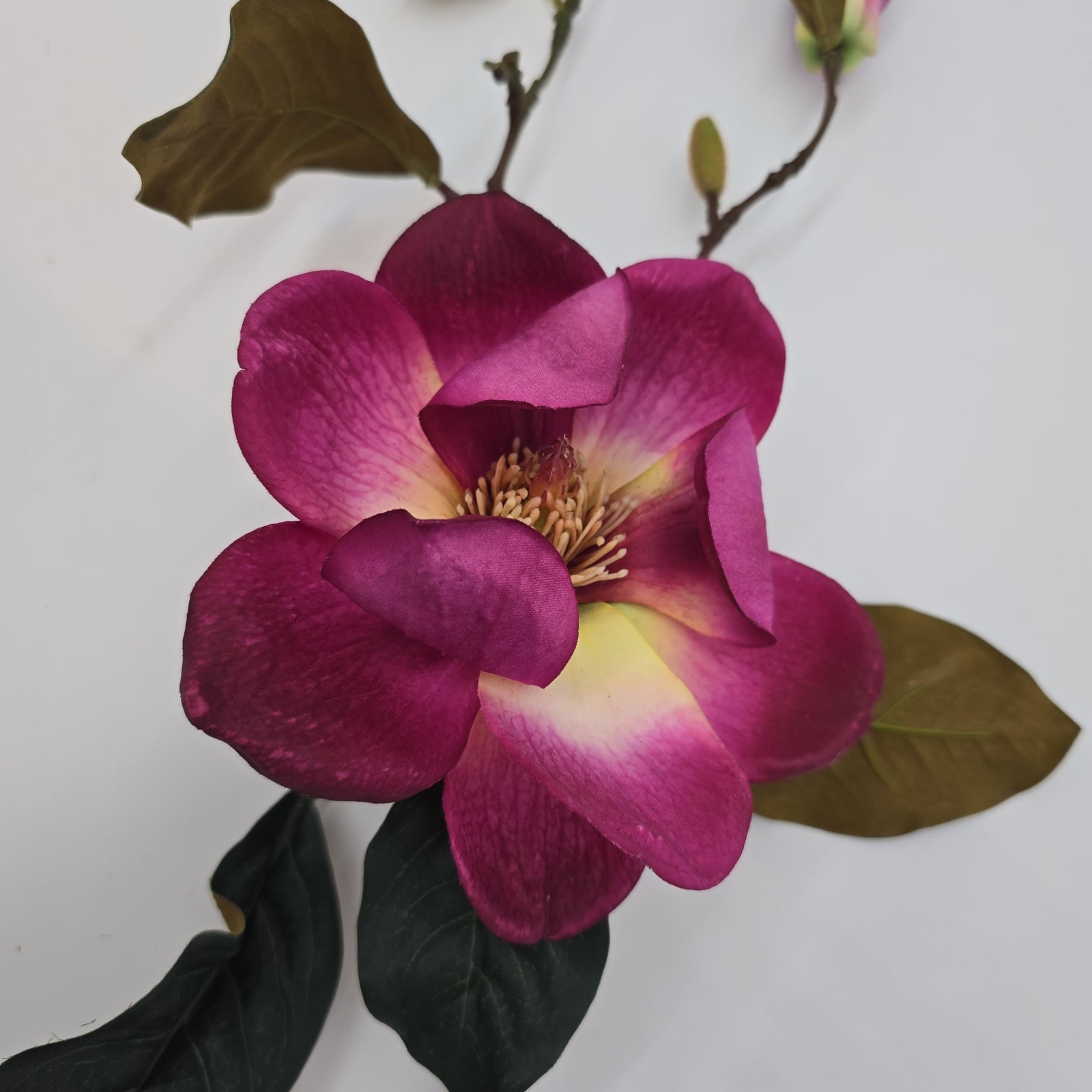 Magnolia Spray-#gtm001