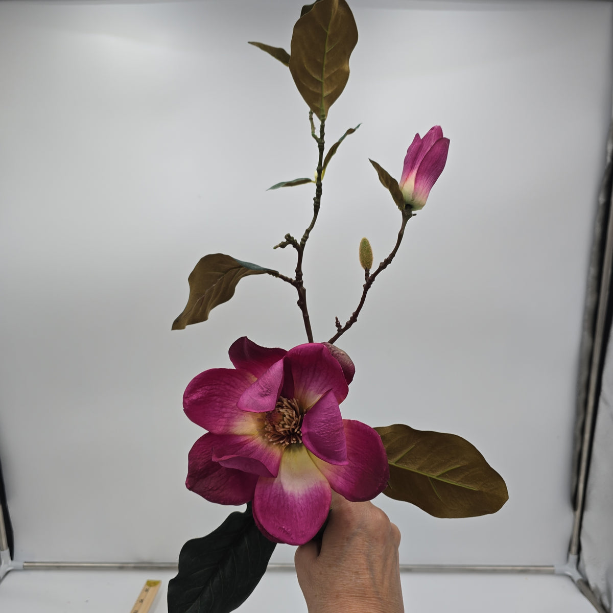 Magnolia Spray-#gtm001