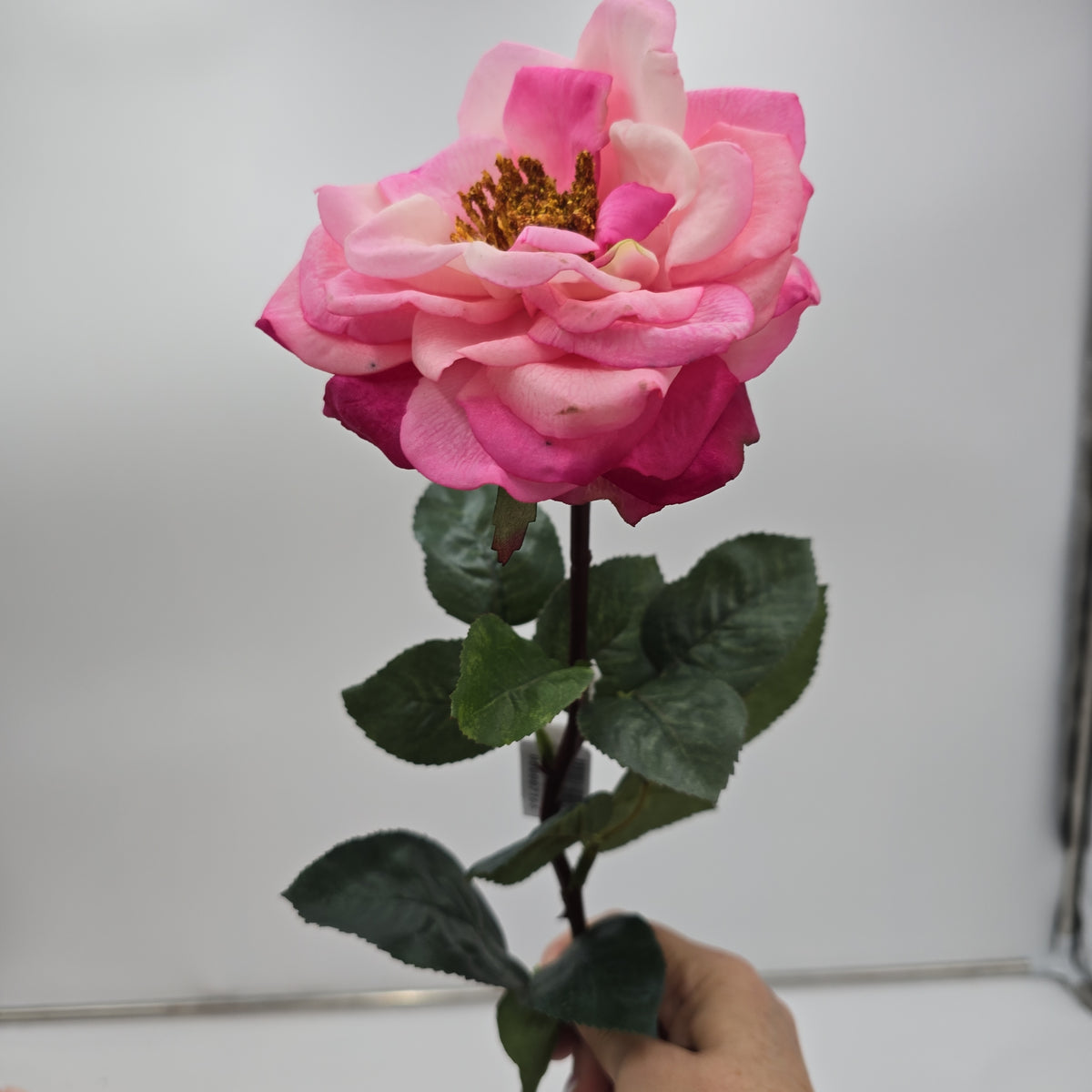 27&quot;RT ORLANE ROSE--gtr282