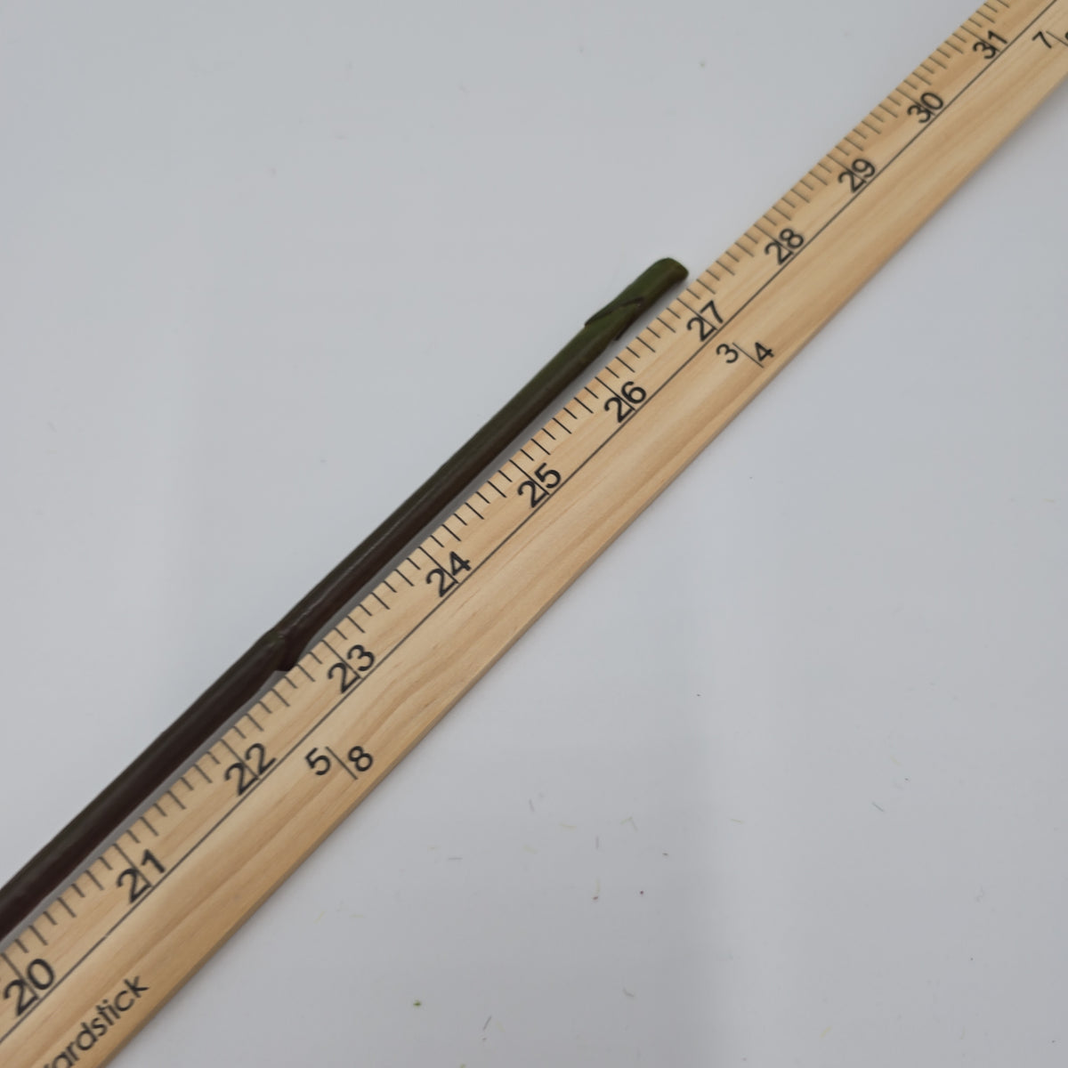 27&quot;RT ORLANE ROSE--gtr282