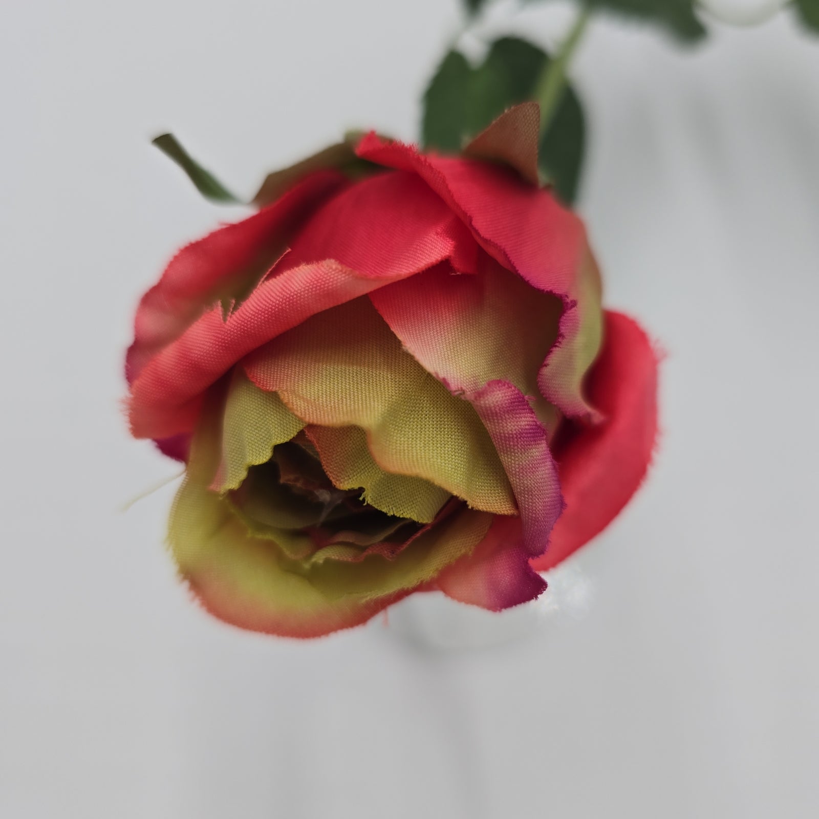 Rose Bud--#uf0004-pk/gr