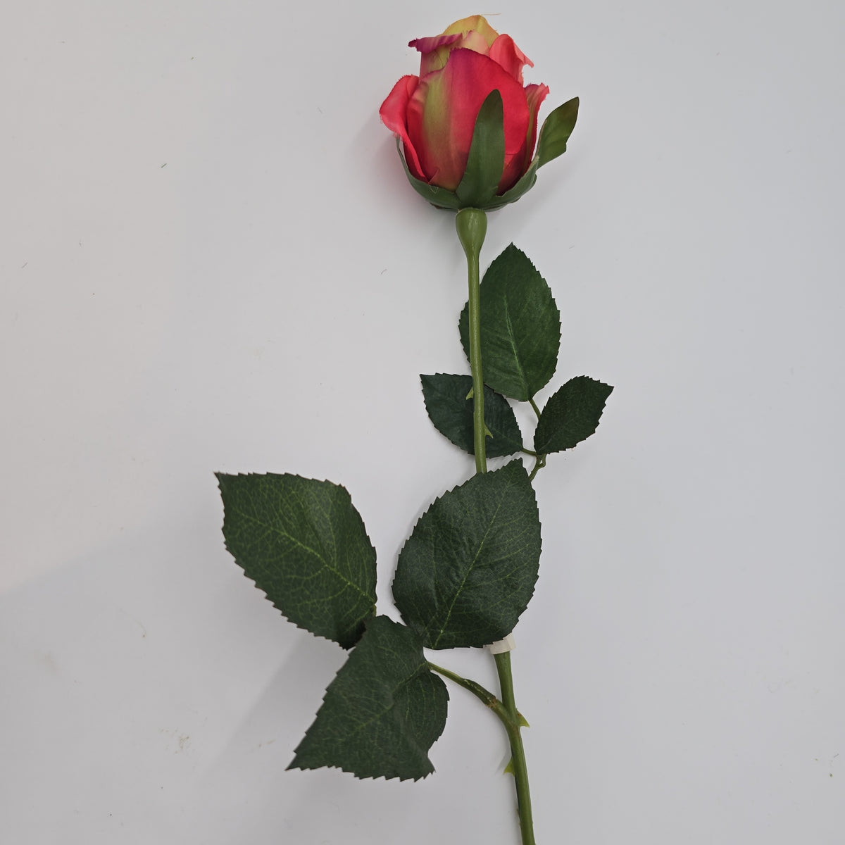 Rose Bud--#uf0004-pk/gr
