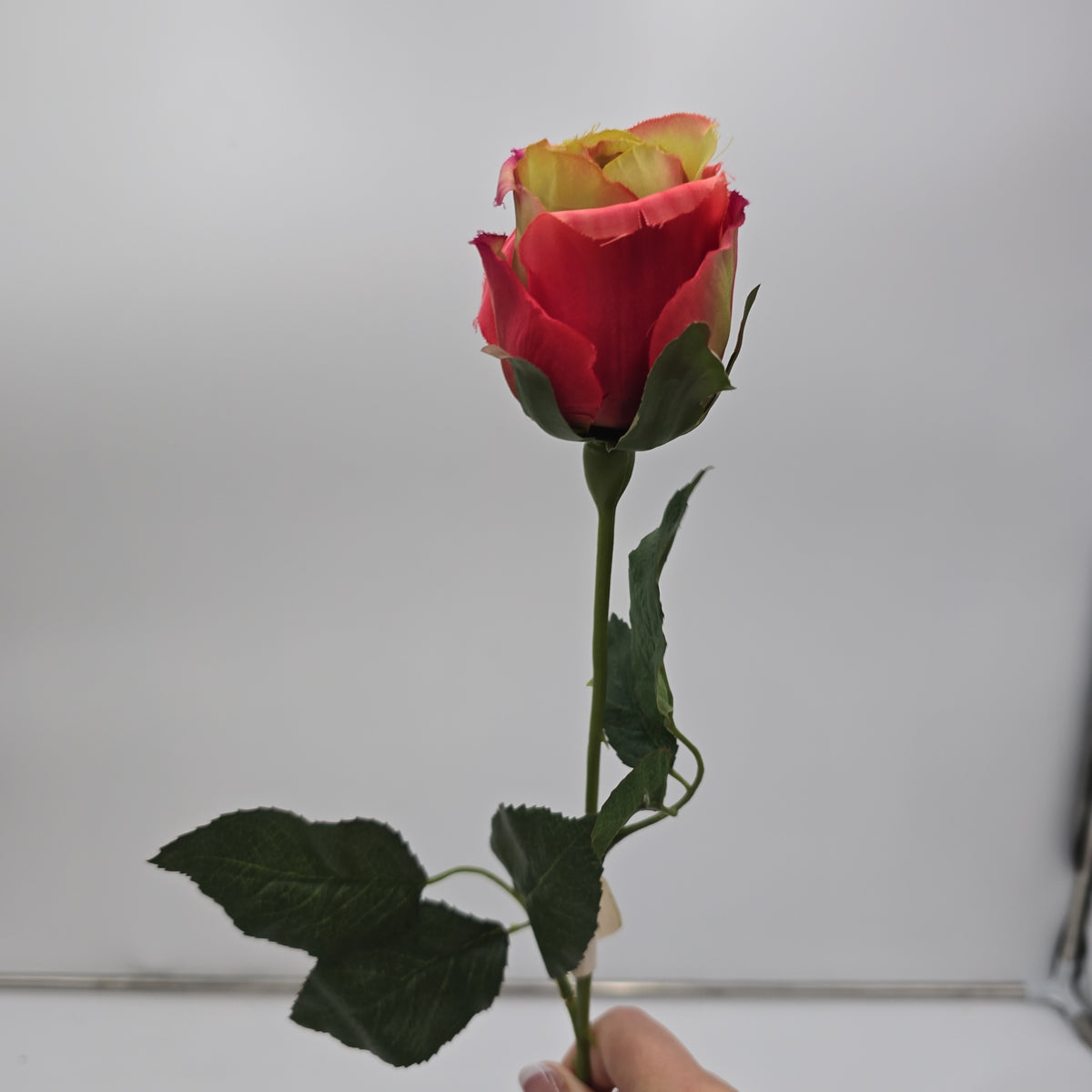 Rose Bud--#uf0004-pk/gr