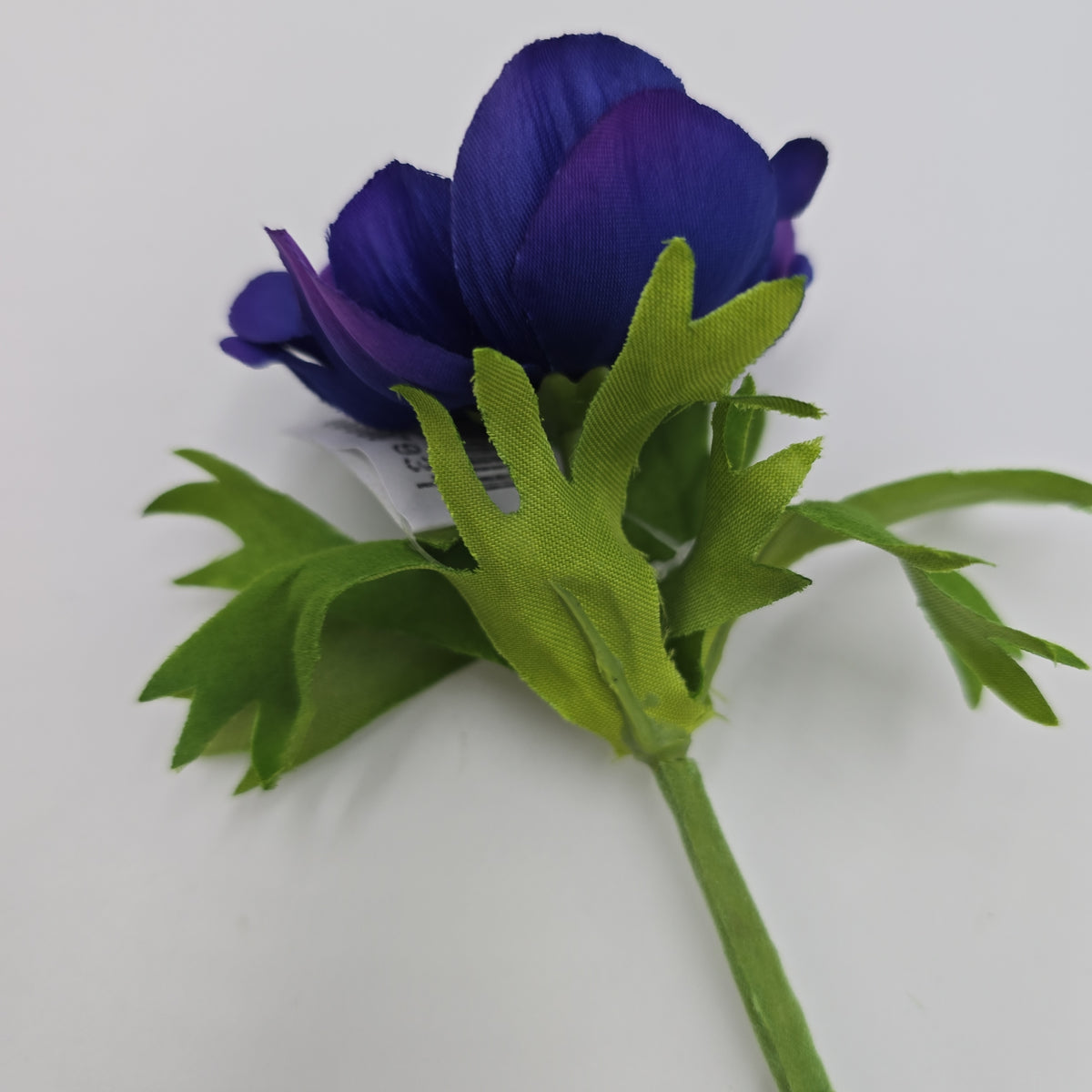 16.5&quot;ANEMONE--fsa048