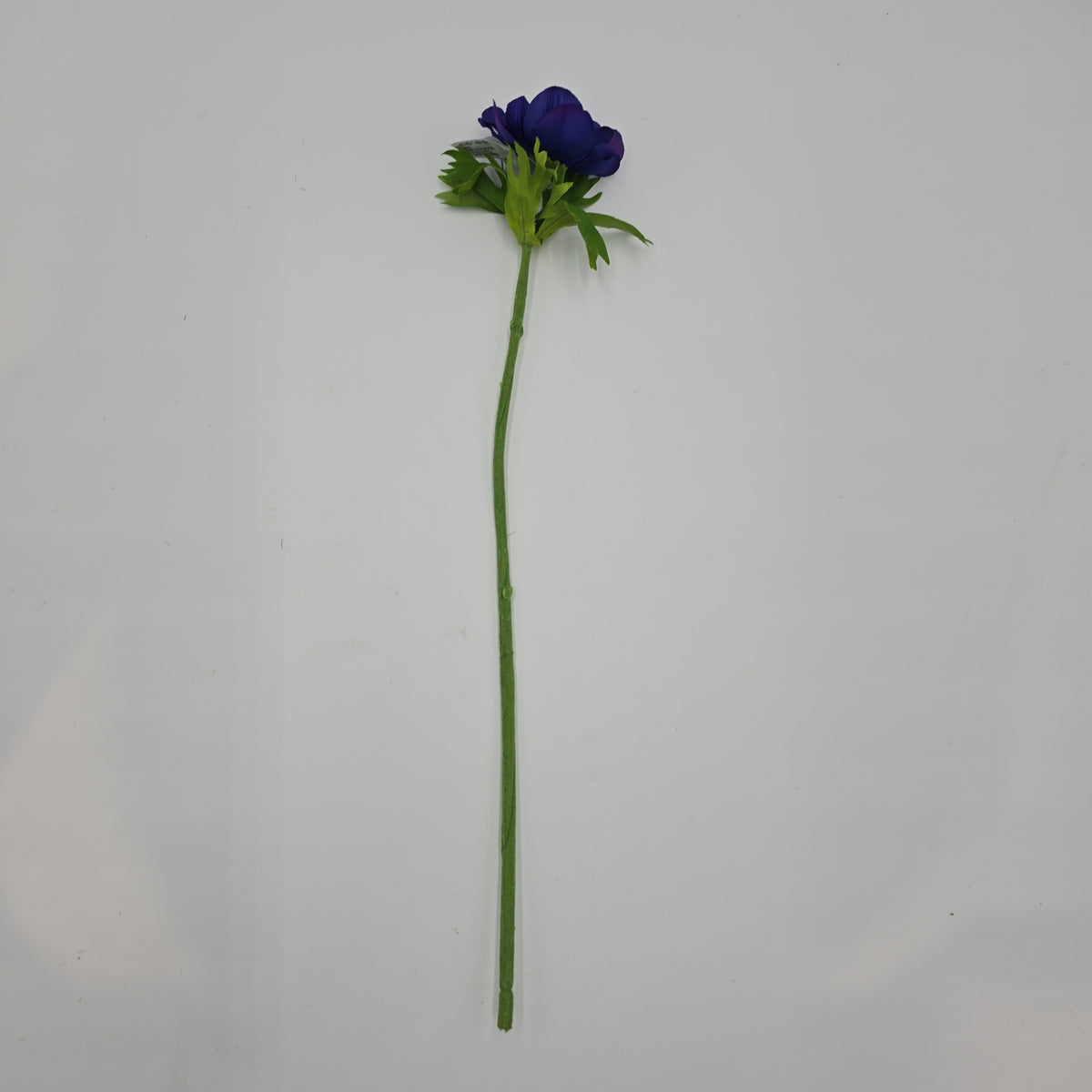 16.5&quot;ANEMONE--fsa048