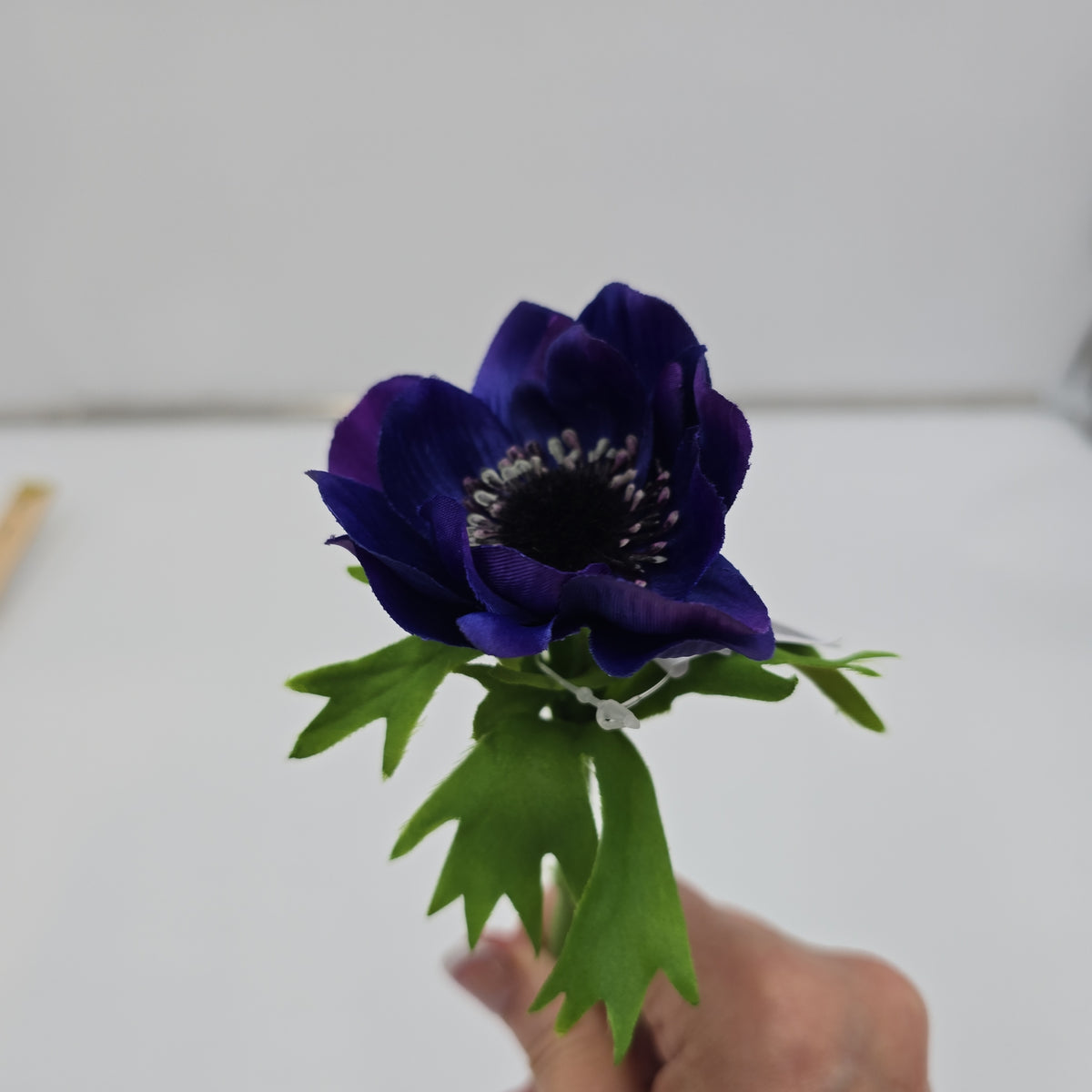 16.5&quot;ANEMONE--fsa048