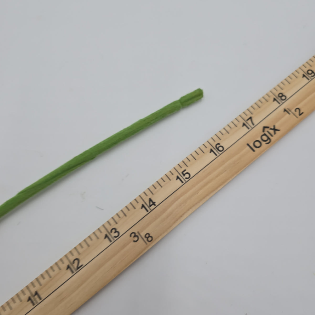 16.5&quot;ANEMONE--fsa048