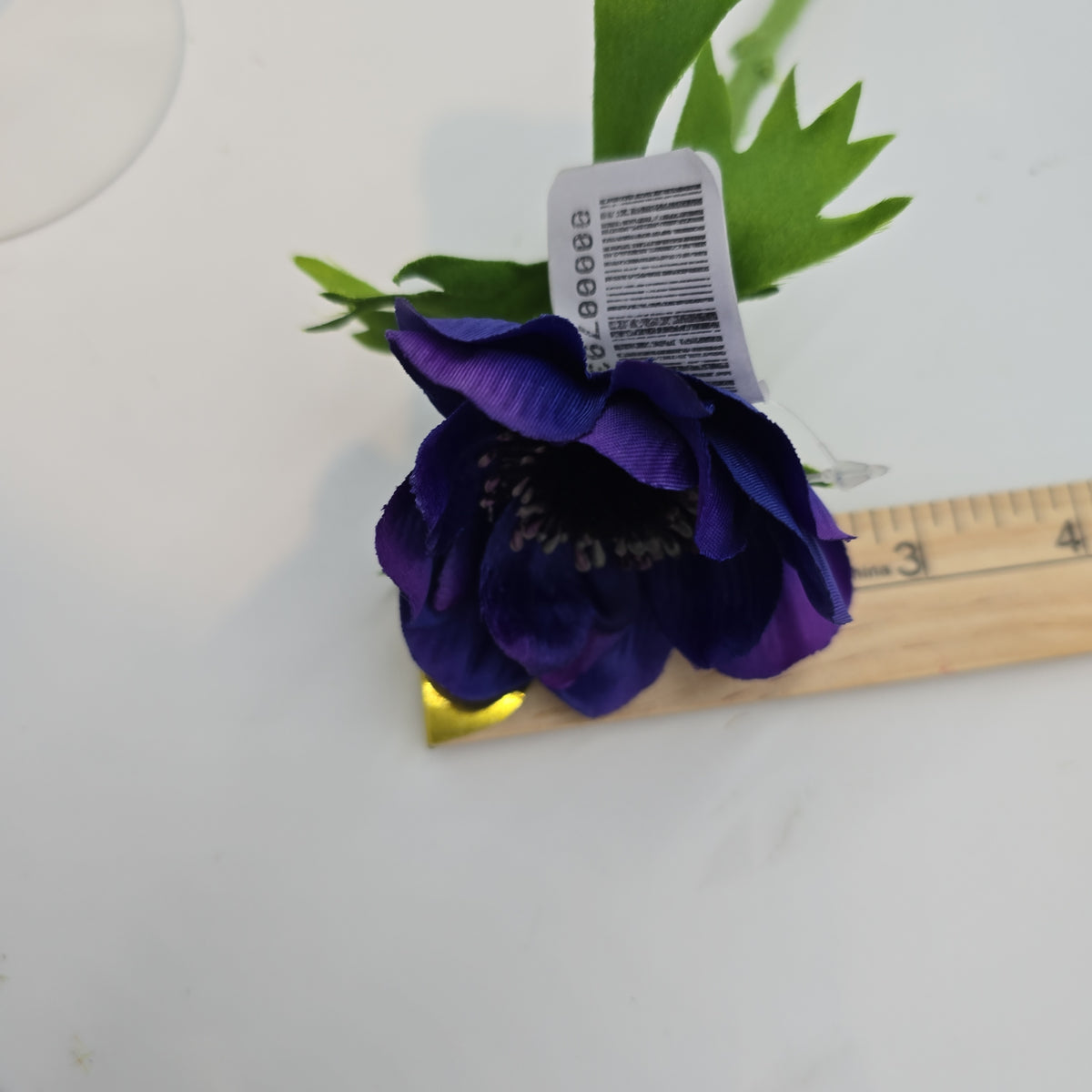 16.5&quot;ANEMONE--fsa048