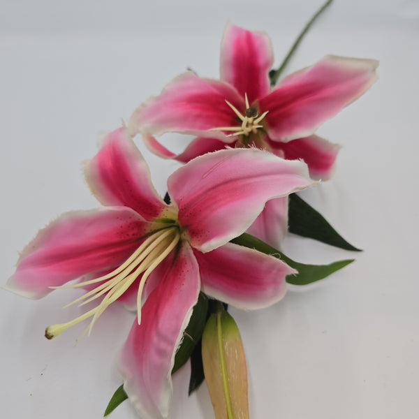 Lily--#fsl291 - The Front Porch