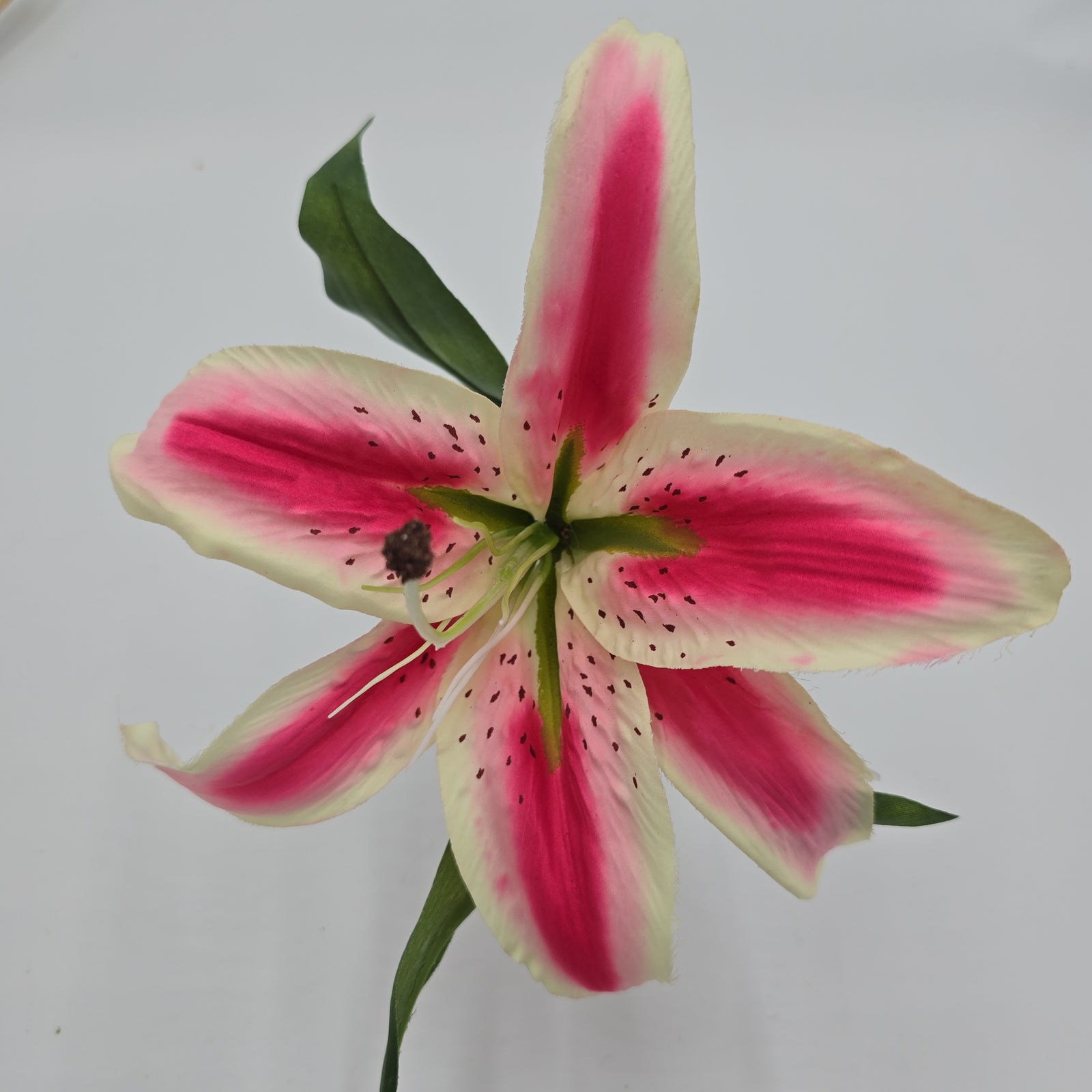 15" Lily--#fsl377