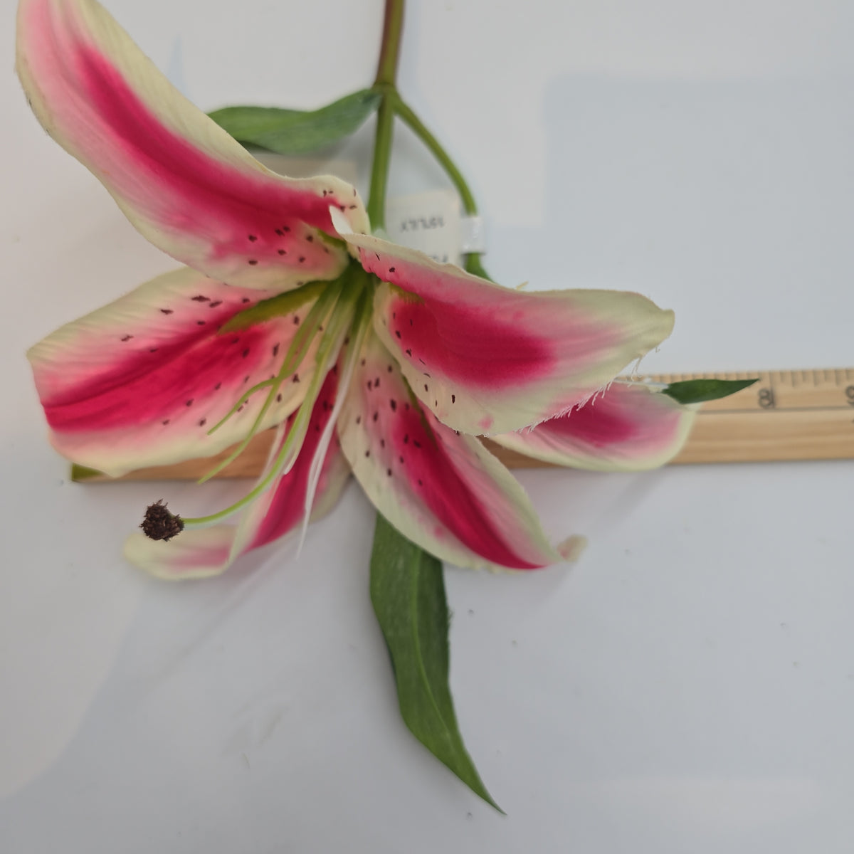 15&quot; Lily--#fsl377