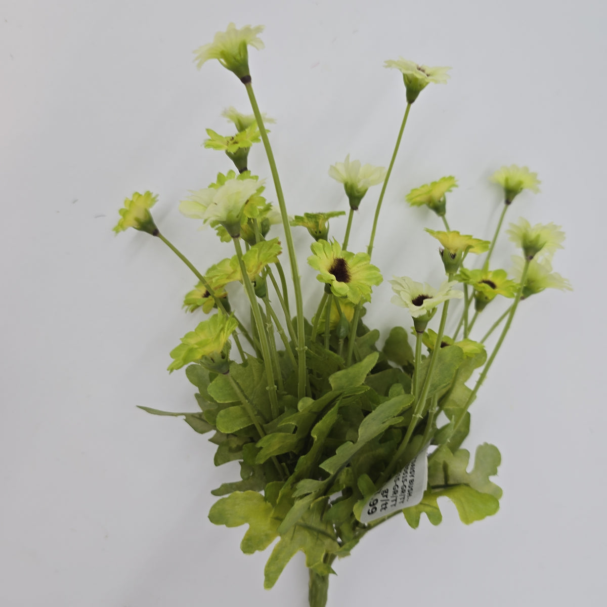 10.5&quot;DAISY BUSH--FBD515