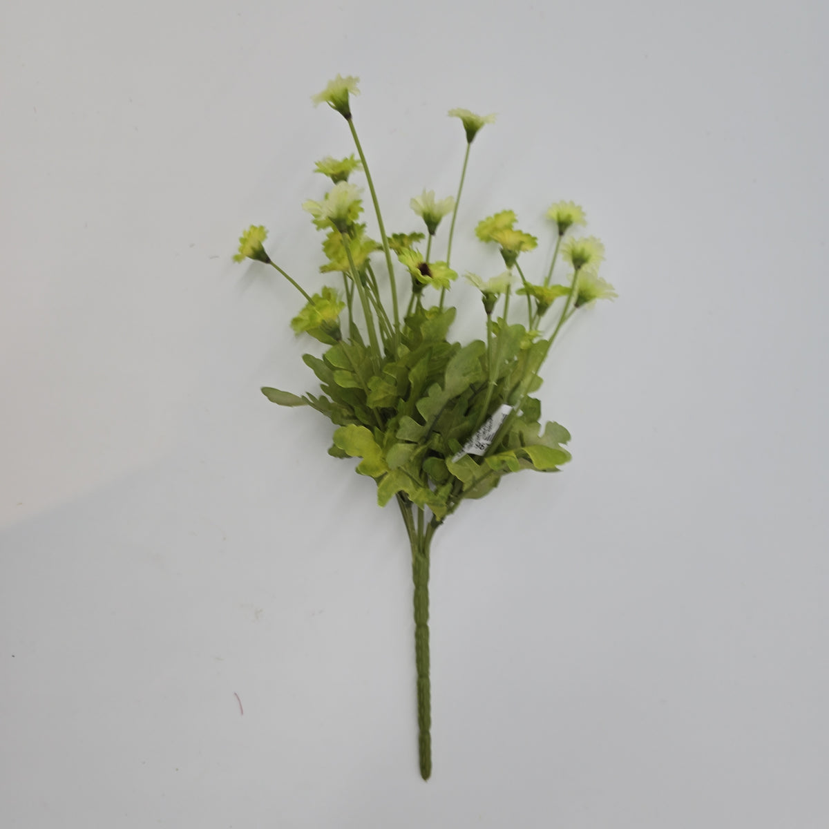 10.5&quot;DAISY BUSH--FBD515