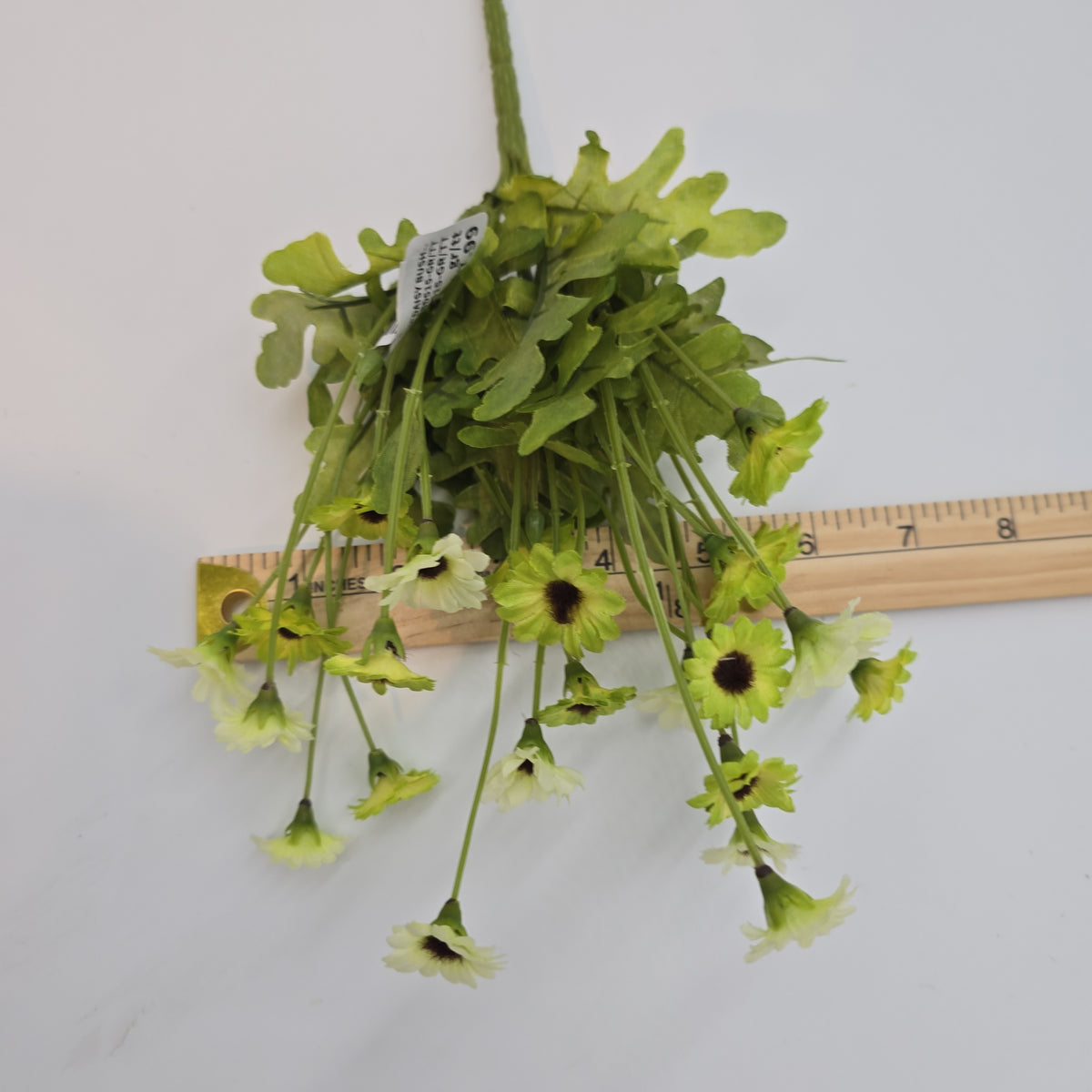 10.5&quot;DAISY BUSH--FBD515