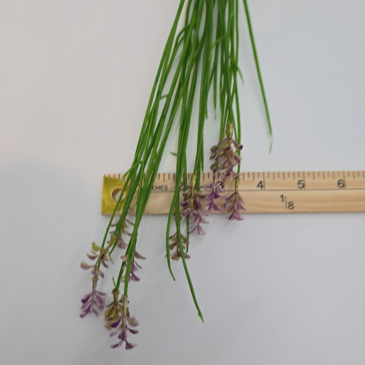 Wild Blossom--#fsb215