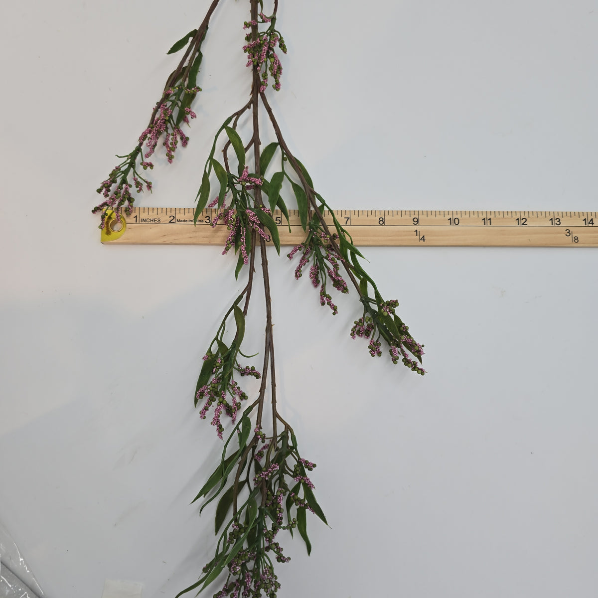 Pea Crop Seed--#gtc236