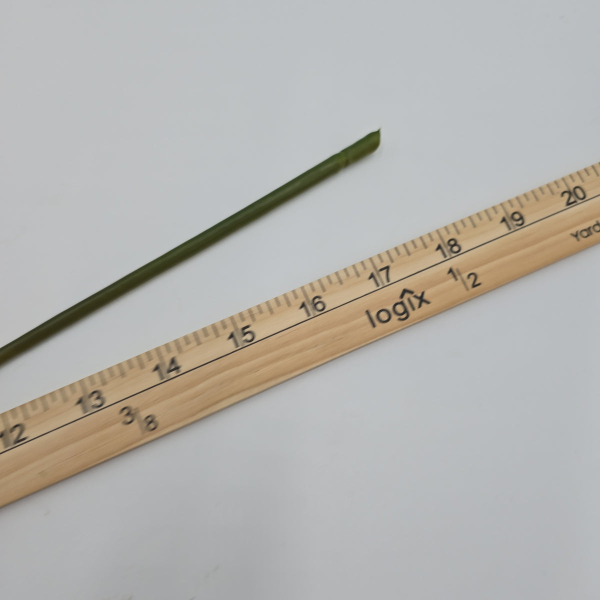 Real touch rose bud-#ztr256-pk/lt