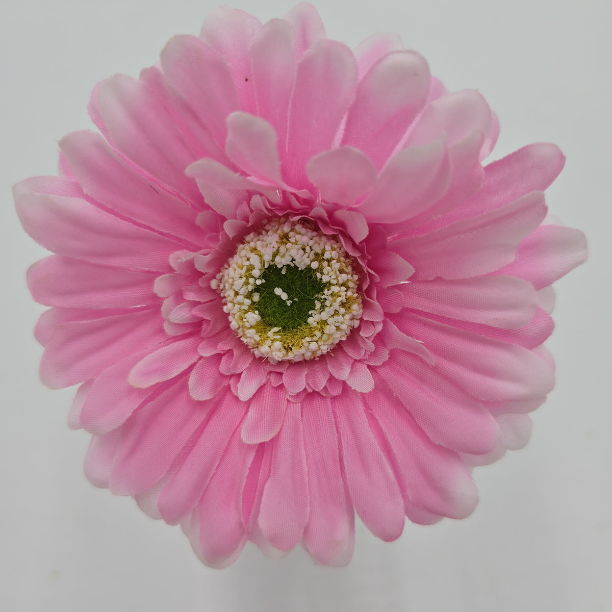 Small Gerbera Daisy--#gtd445