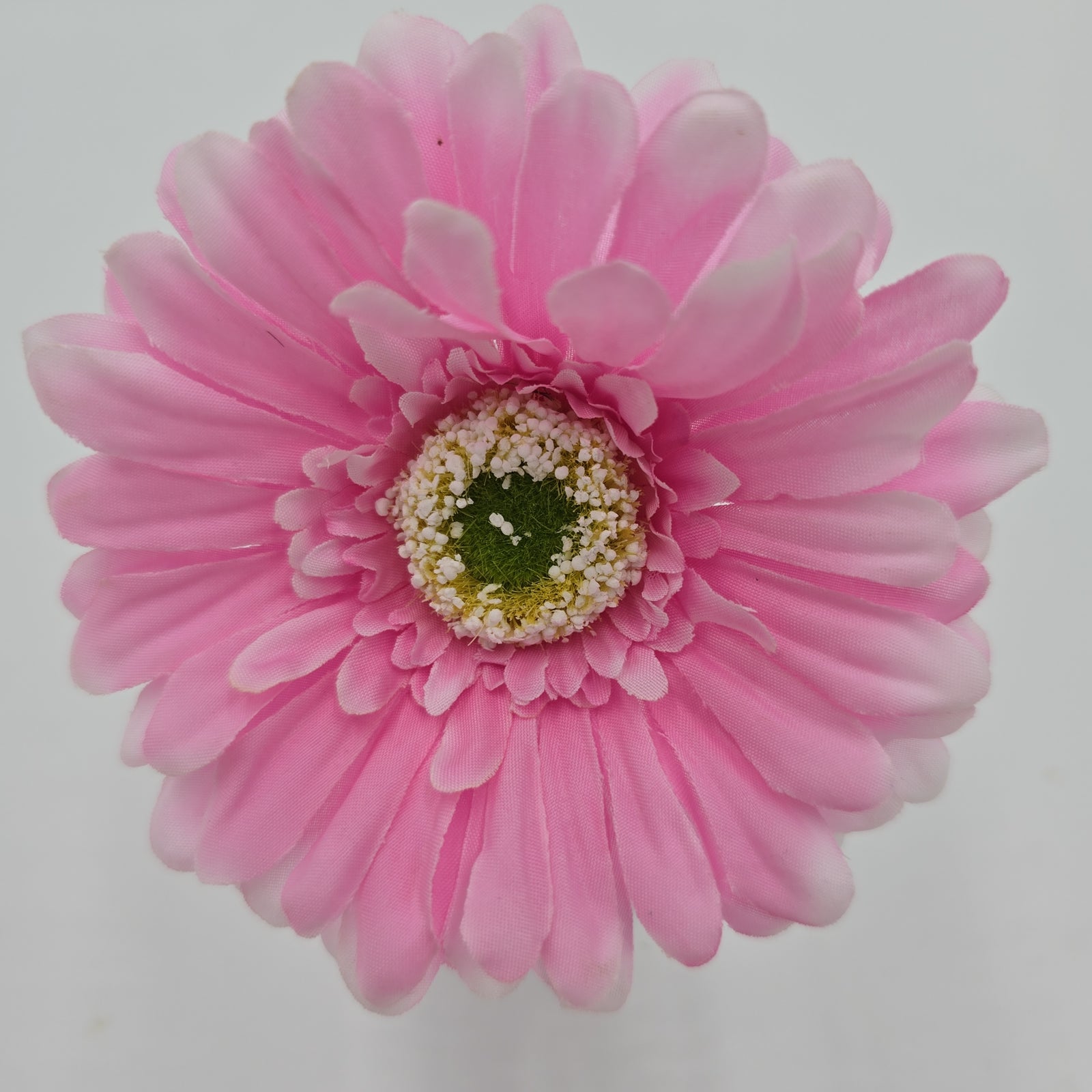 Small Gerbera Daisy--#gtd445