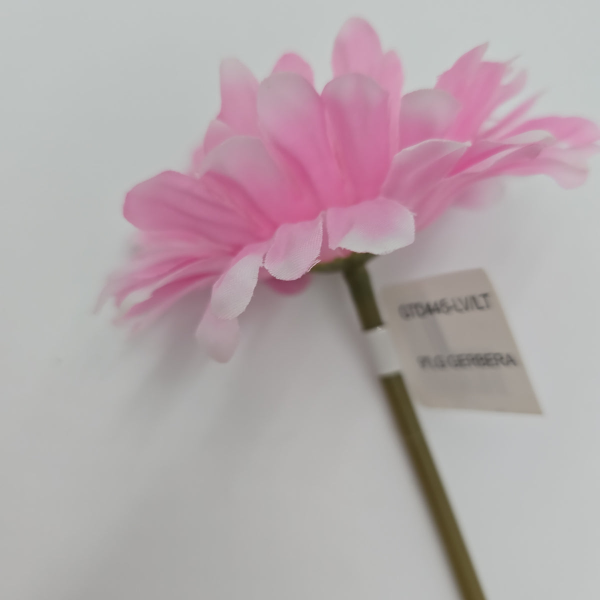 Small Gerbera Daisy--#gtd445