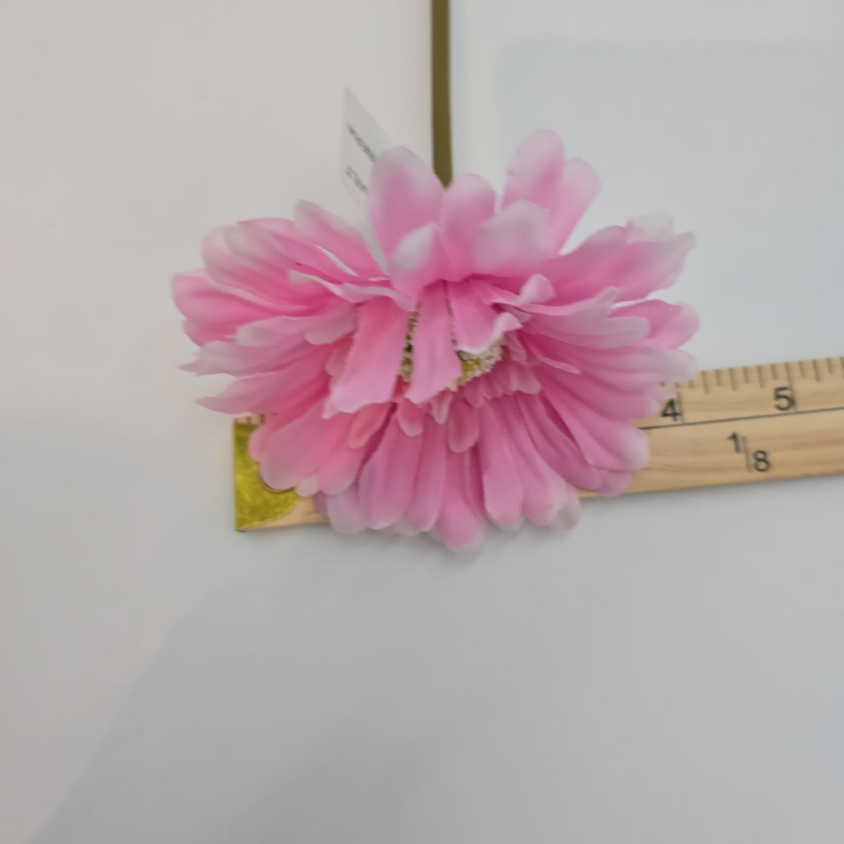 Small Gerbera Daisy--#gtd445