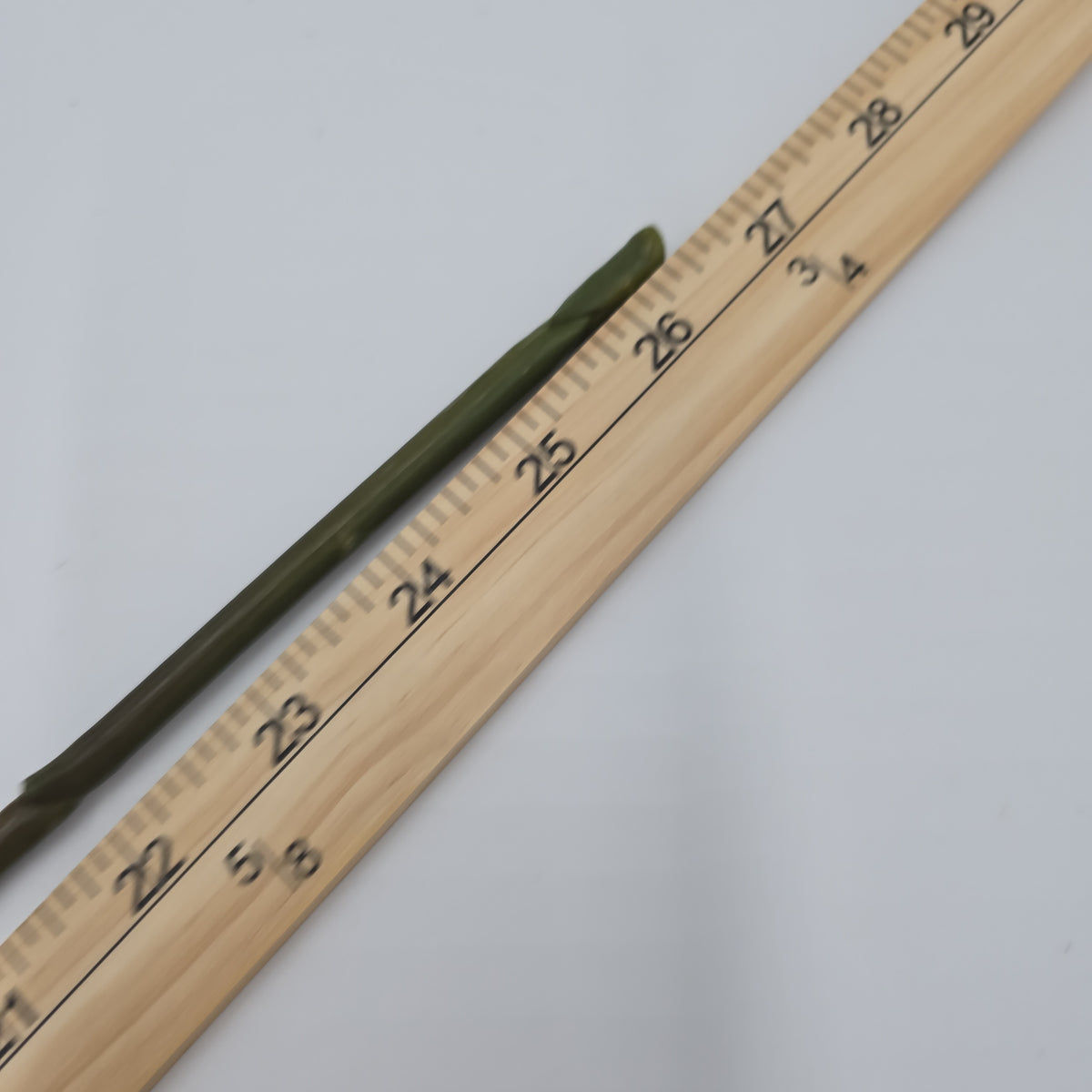 27&quot;RT ORLANE ROSE--gtr282