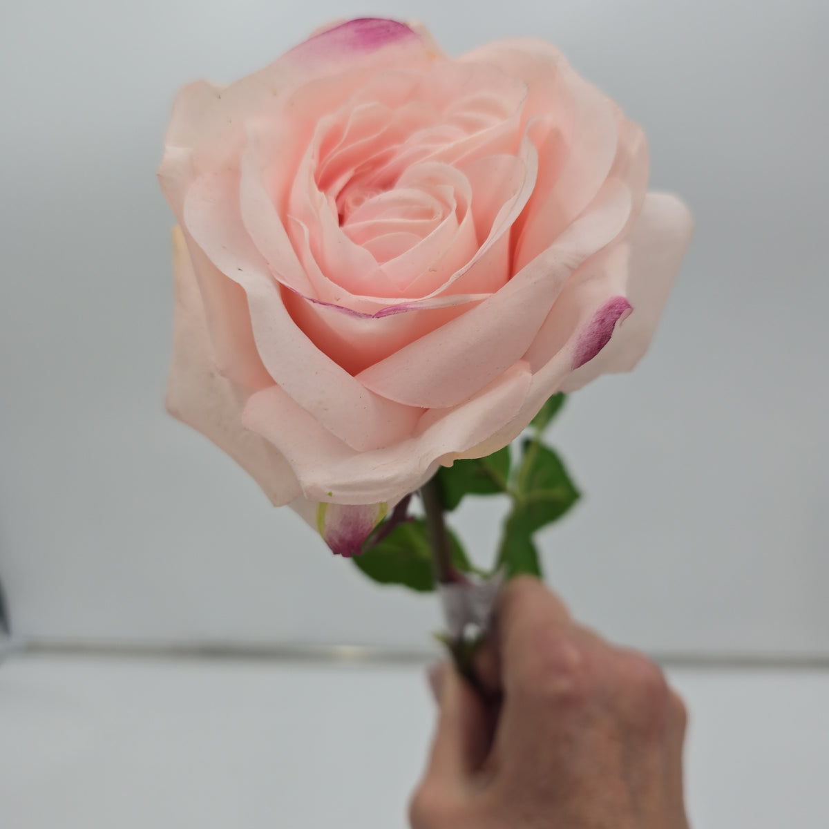 Real-Touch Rose--fsr275