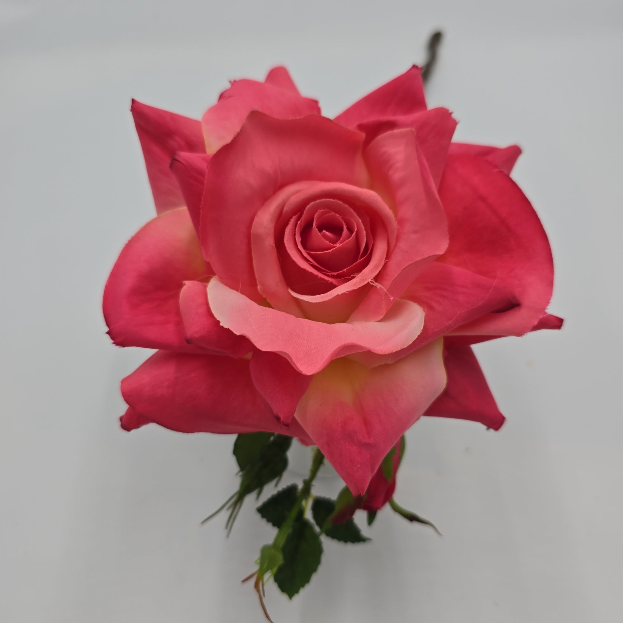 21" Rose Spray--#fsr855