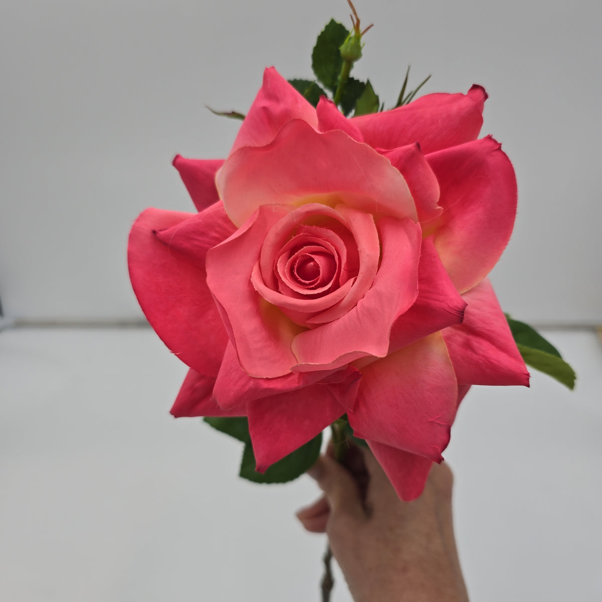 21&quot; Rose Spray--#fsr855