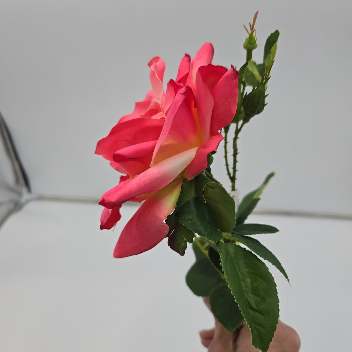 21&quot; Rose Spray--#fsr855