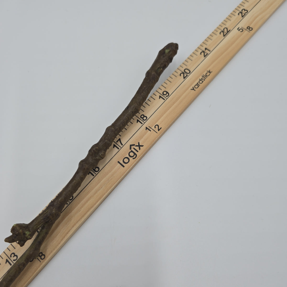 21&quot; Rose Spray--#fsr855