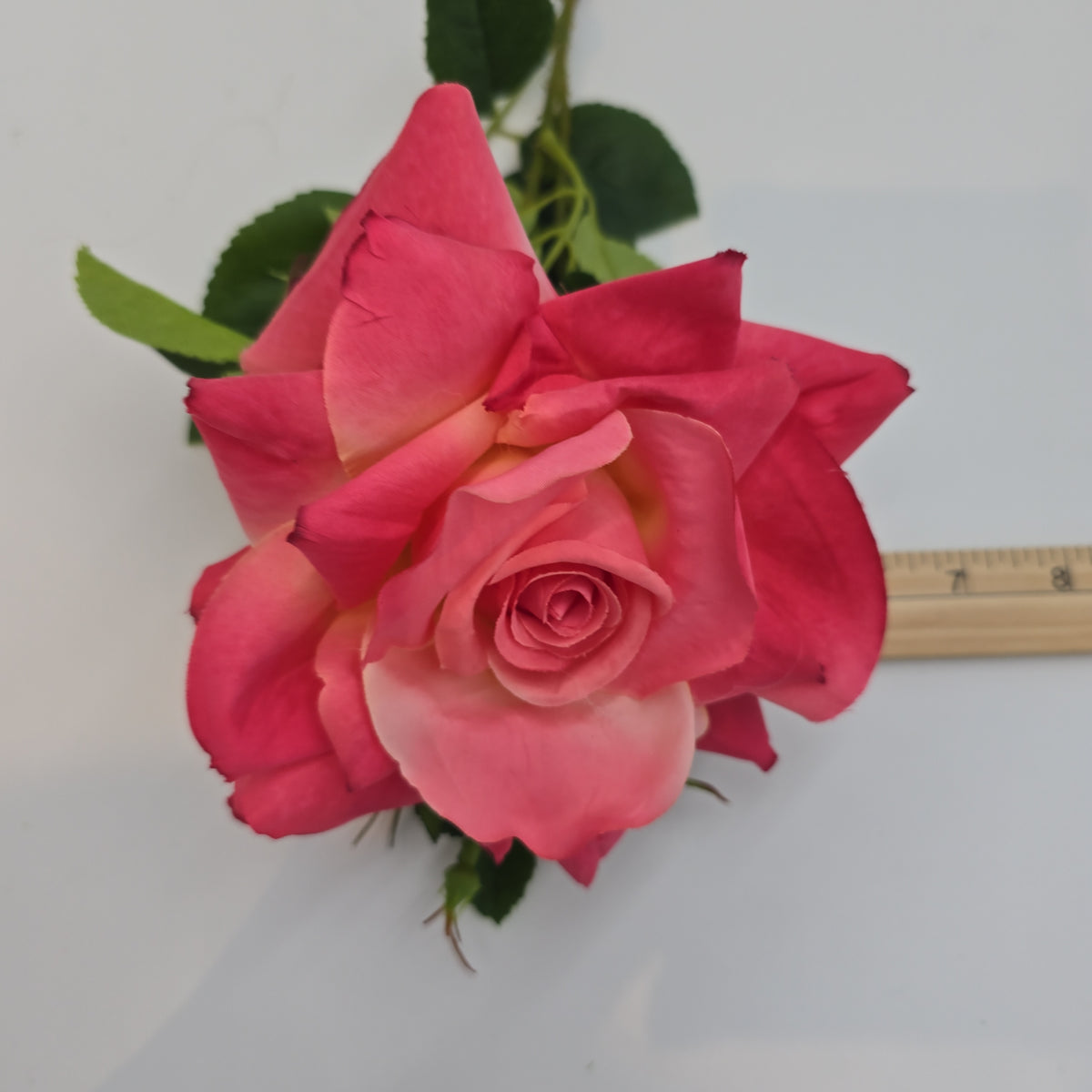 21&quot; Rose Spray--#fsr855