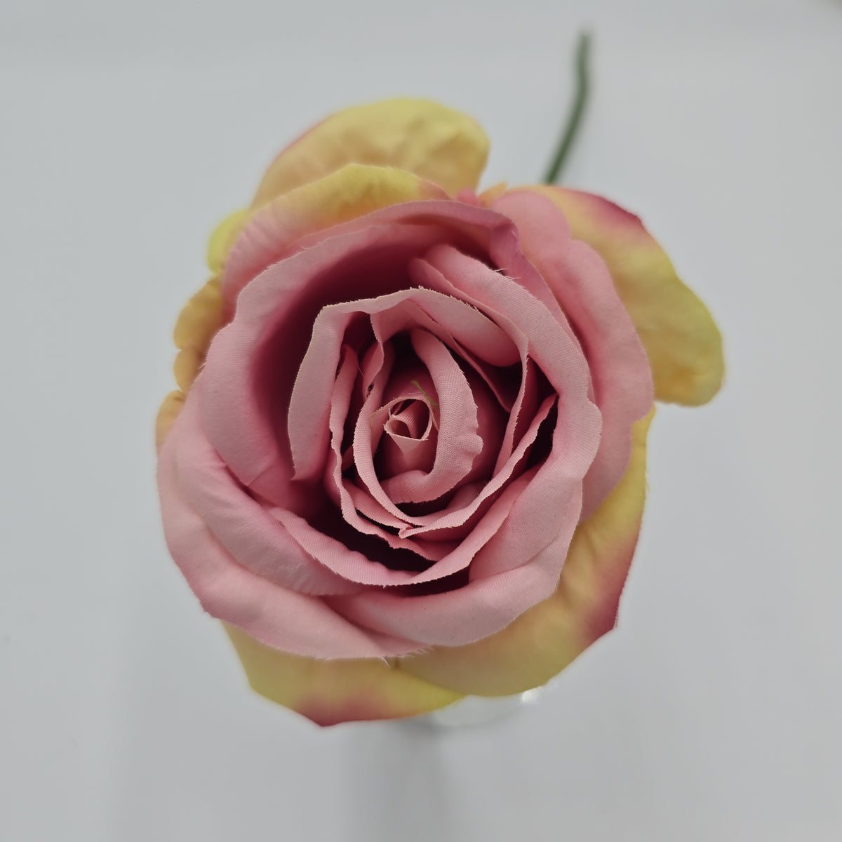 19&quot;ROSE--fsr003