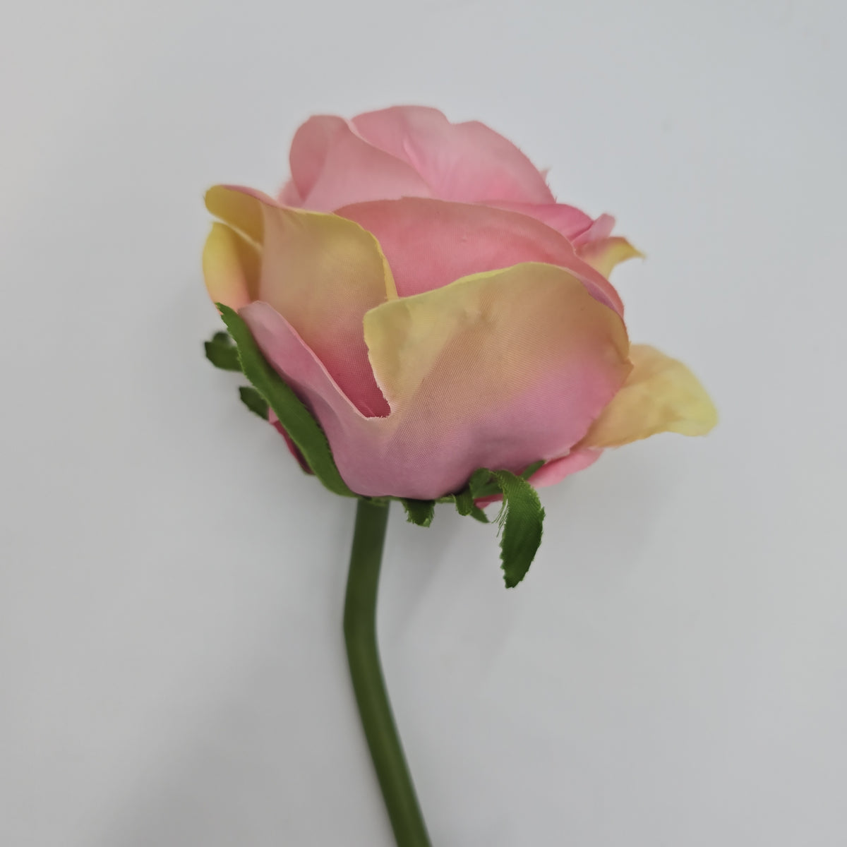 19&quot;ROSE--fsr003