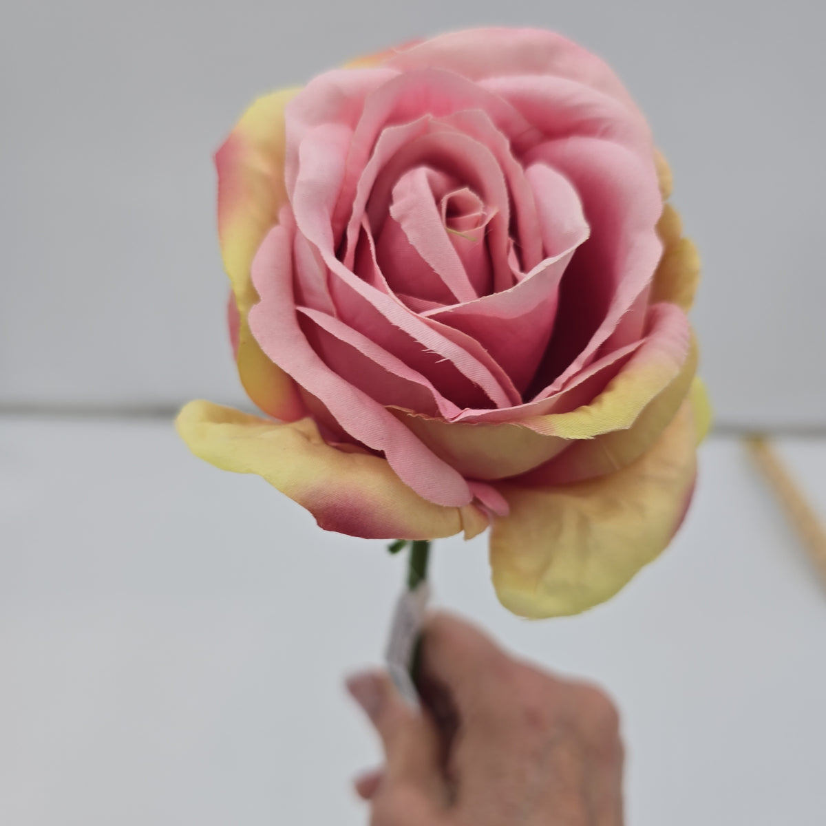 19&quot;ROSE--fsr003