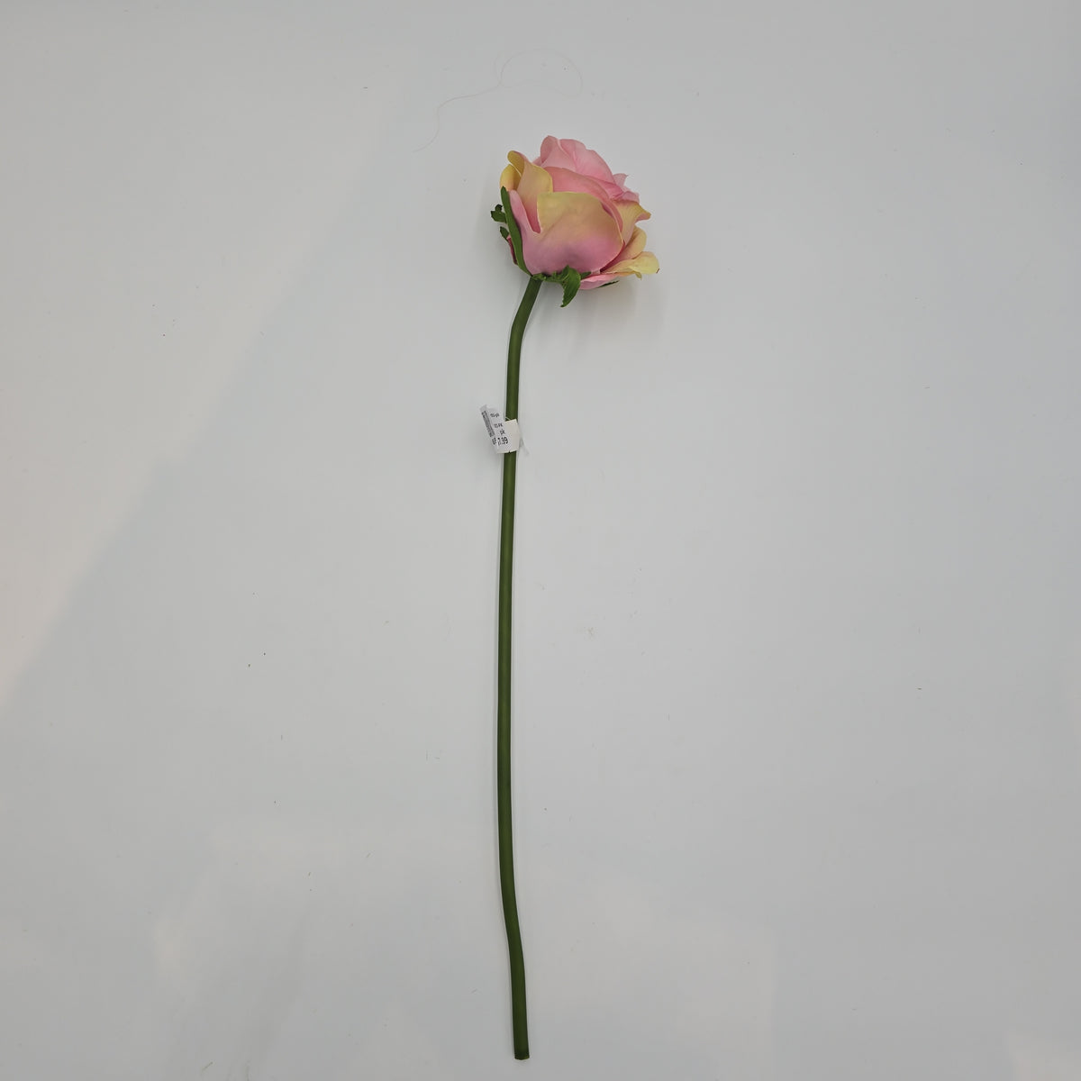 19&quot;ROSE--fsr003