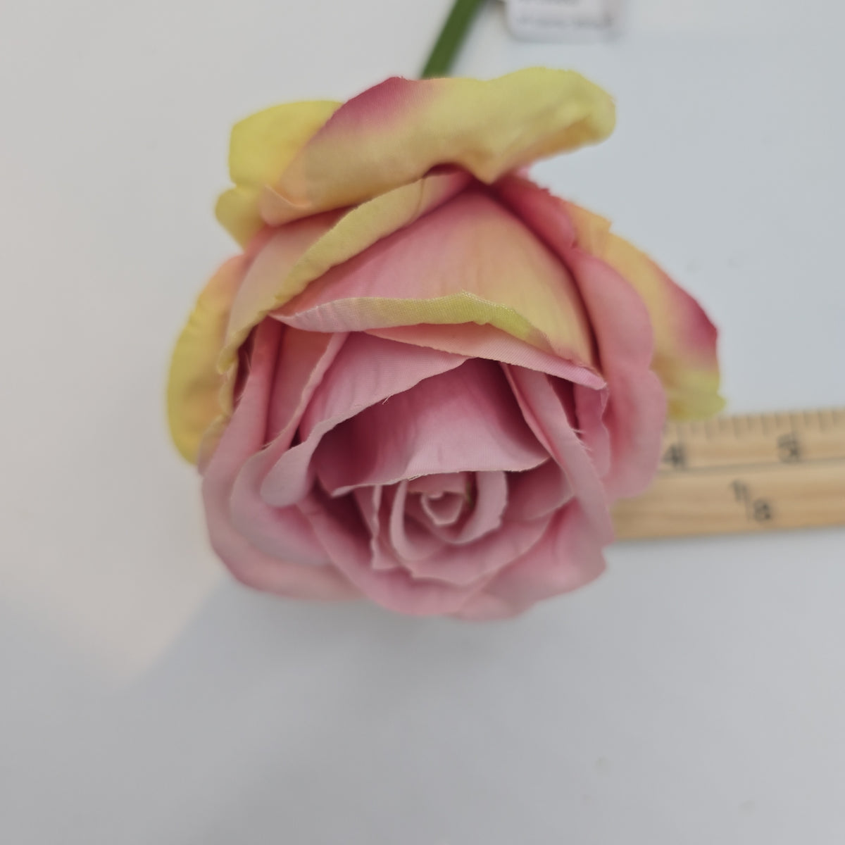 19&quot;ROSE--fsr003