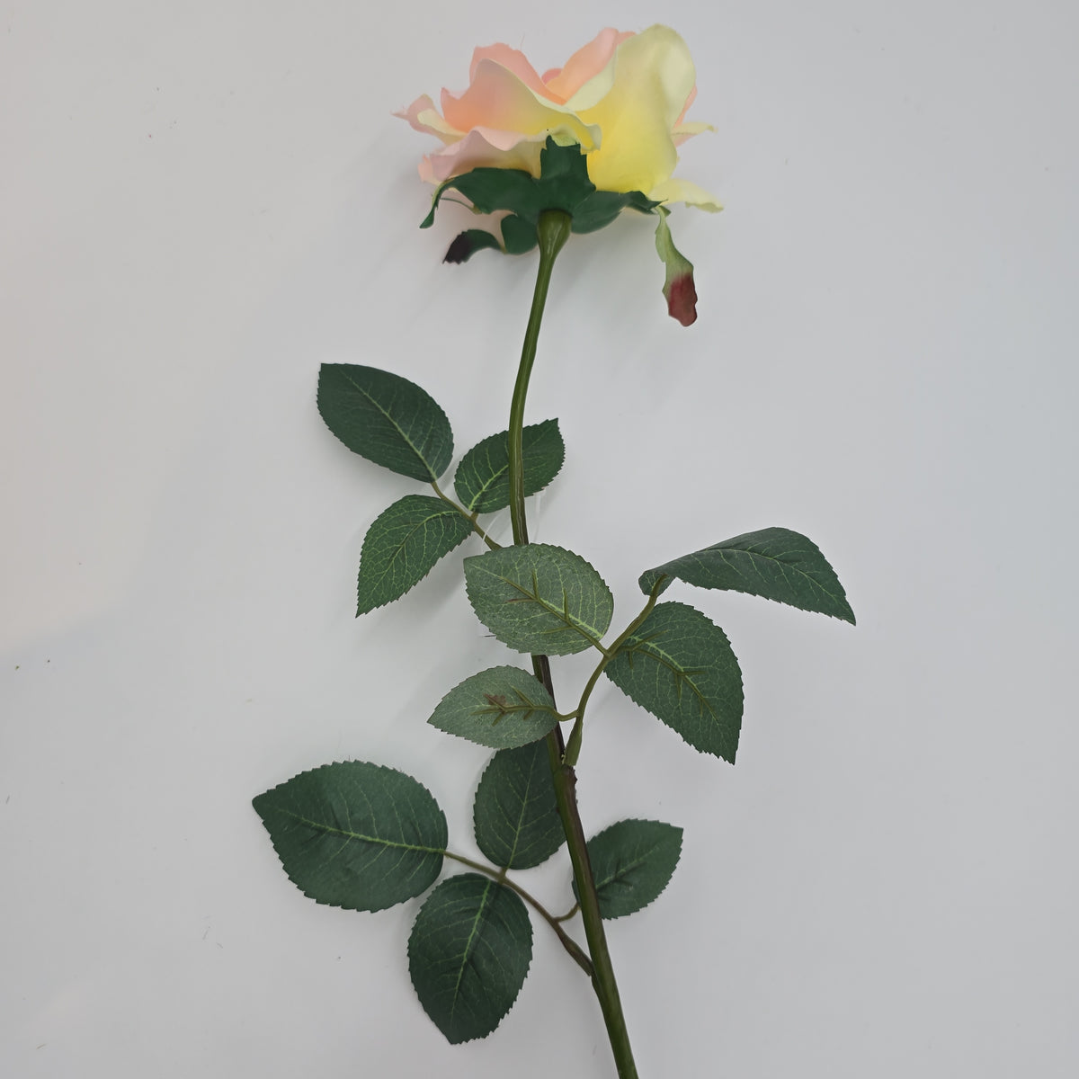 27&quot;LG ROSE--fr2008