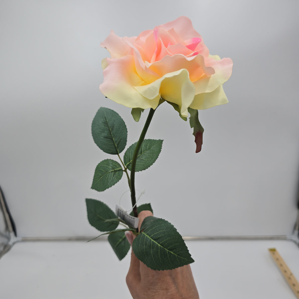 27&quot;LG ROSE--fr2008