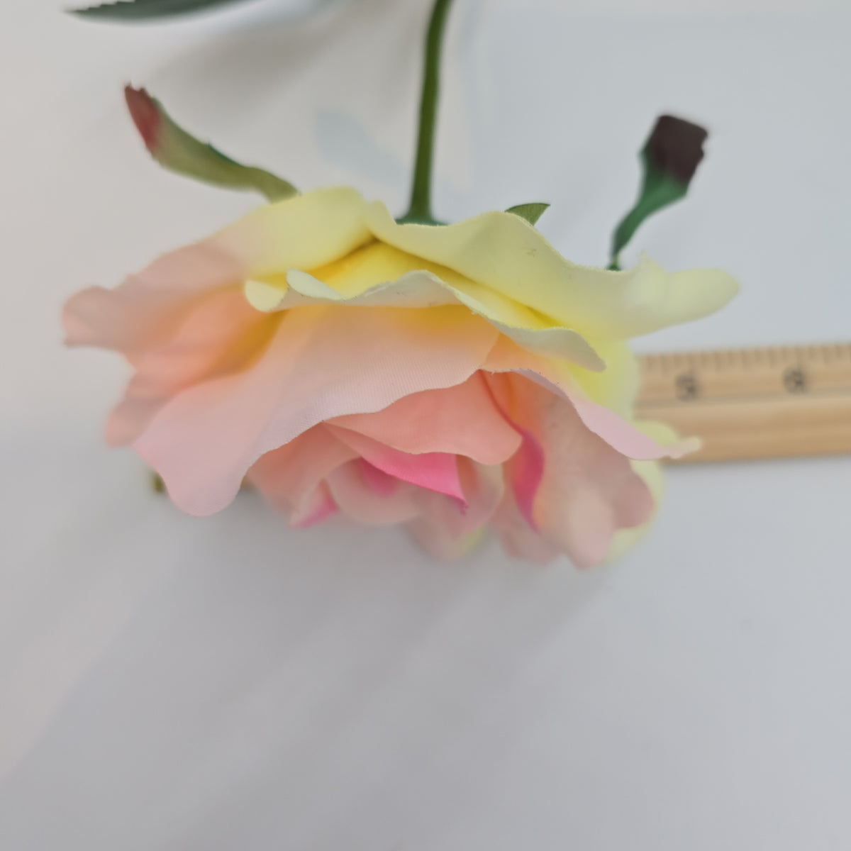 27&quot;LG ROSE--fr2008