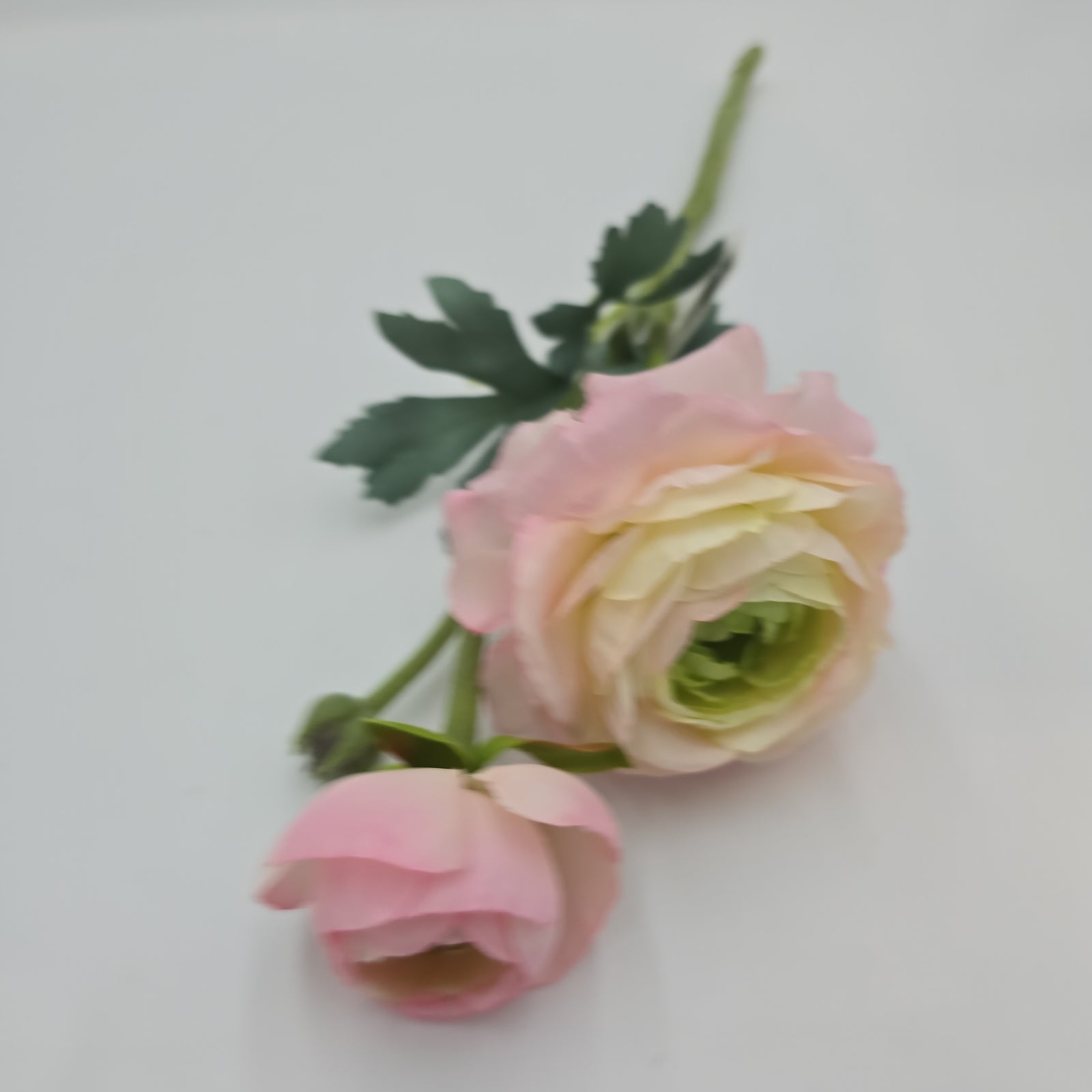 15" Ranunculus-fsr282-#pk/gr