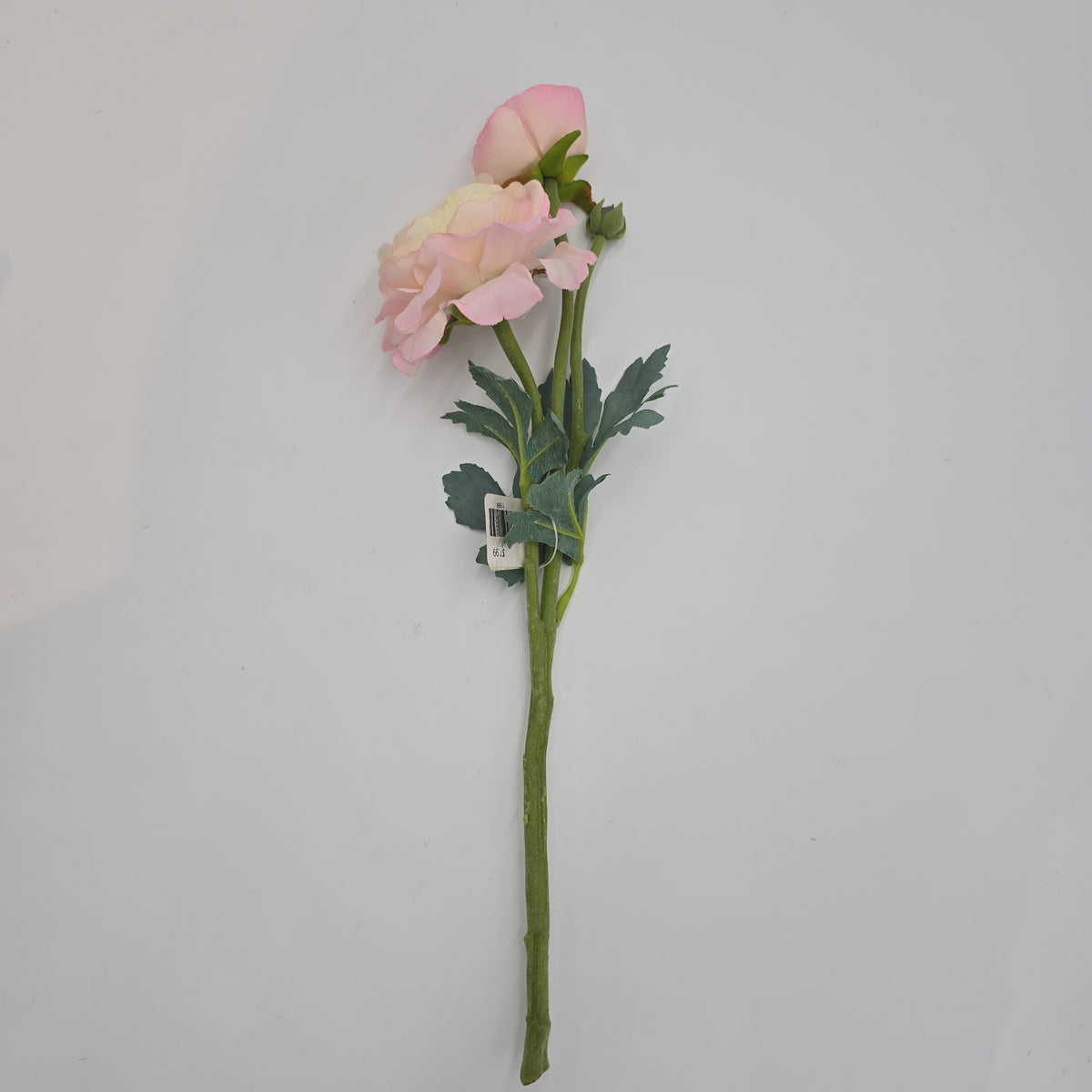 15&quot; Ranunculus-fsr282-#pk/gr