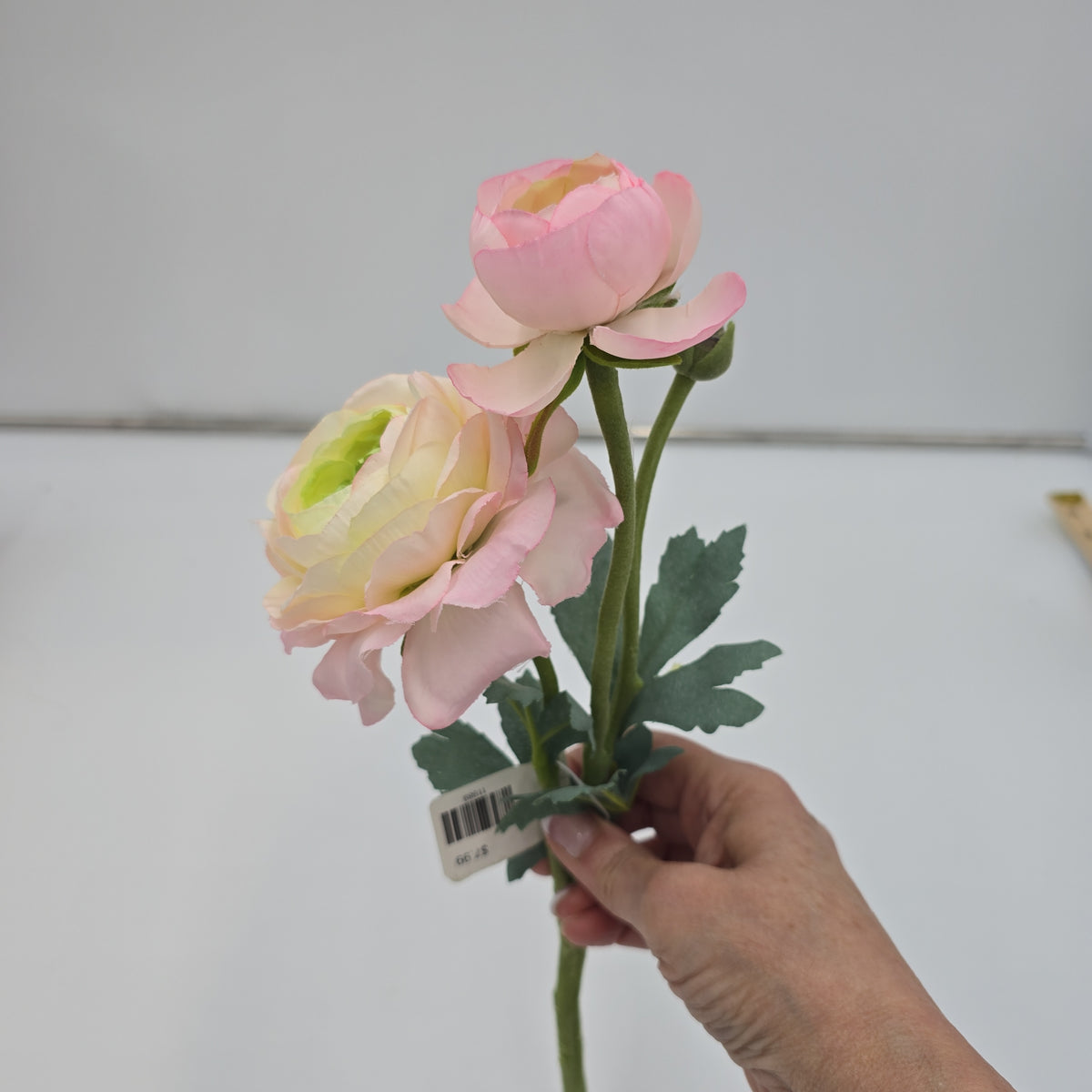 15&quot; Ranunculus-fsr282-#pk/gr