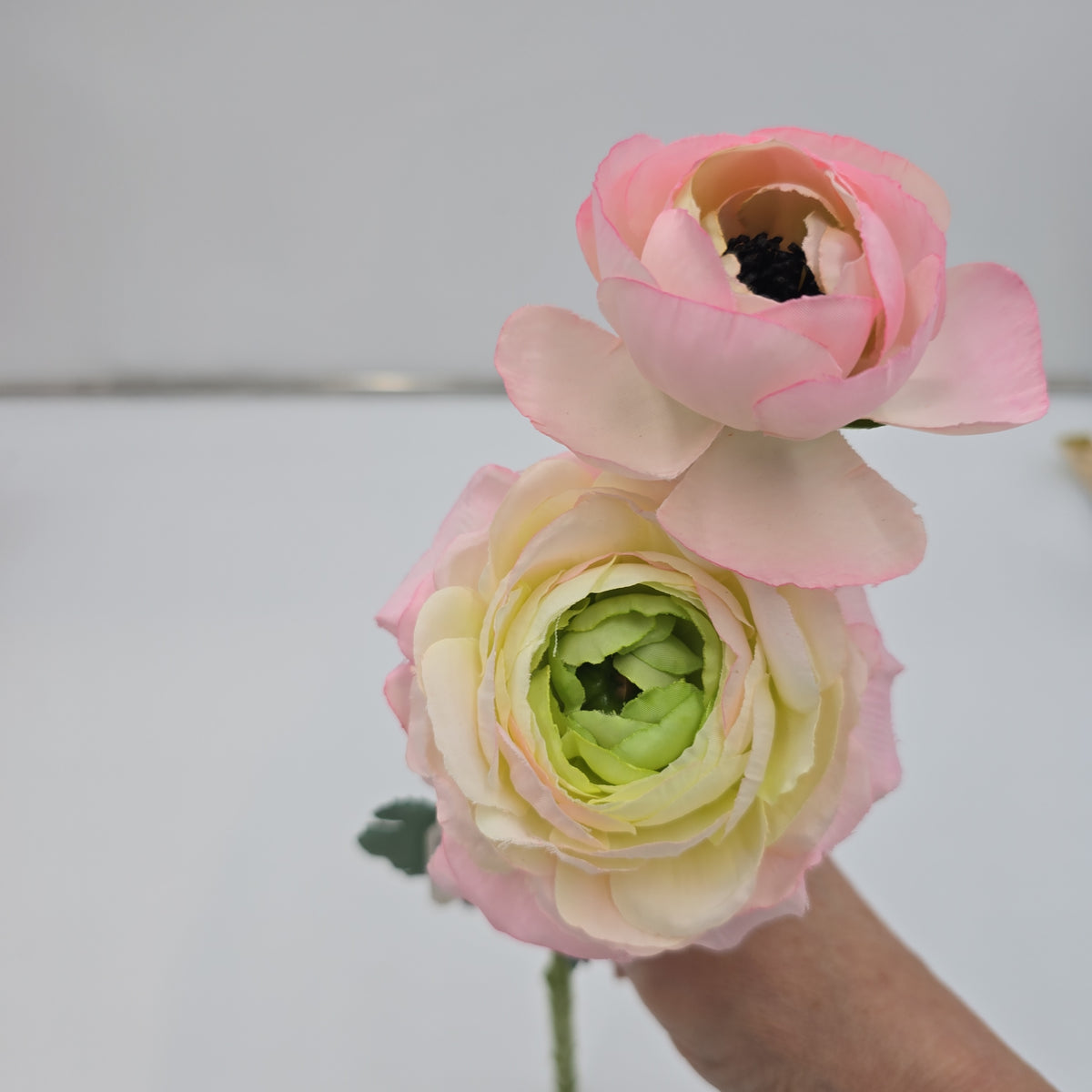 15&quot; Ranunculus-fsr282-#pk/gr