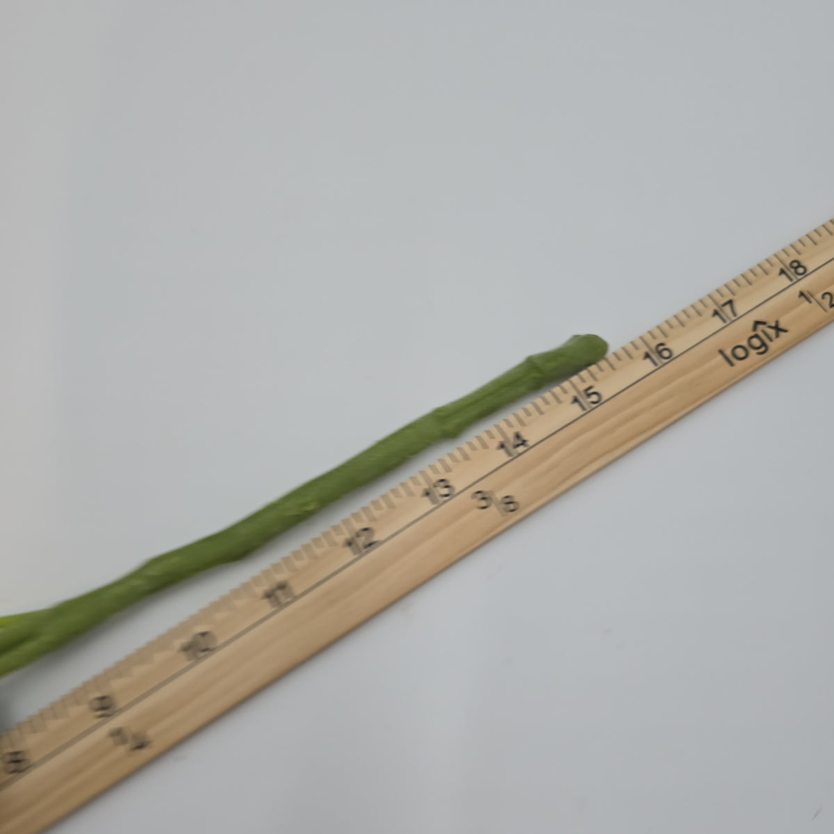 15&quot; Ranunculus-fsr282-#pk/gr