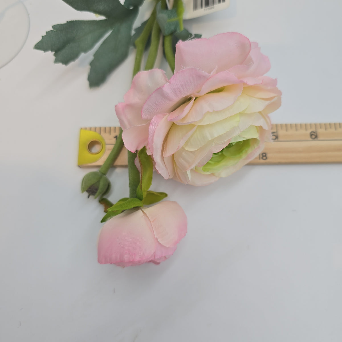 15&quot; Ranunculus-fsr282-#pk/gr