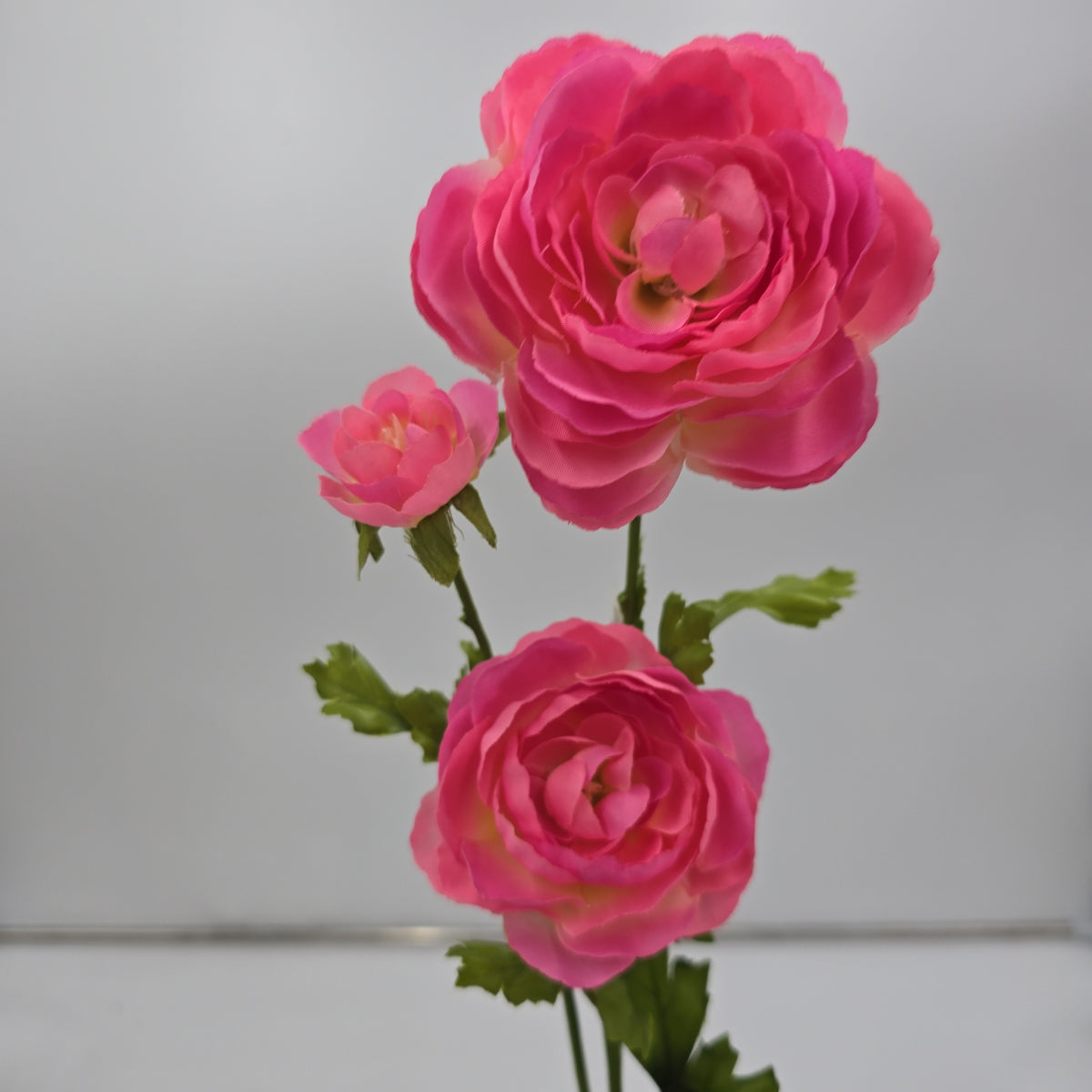 Ranunculus Spray--#fsr502