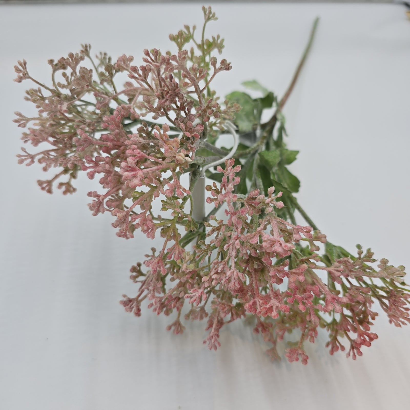 29"VIBURNUM Bud--fsv001