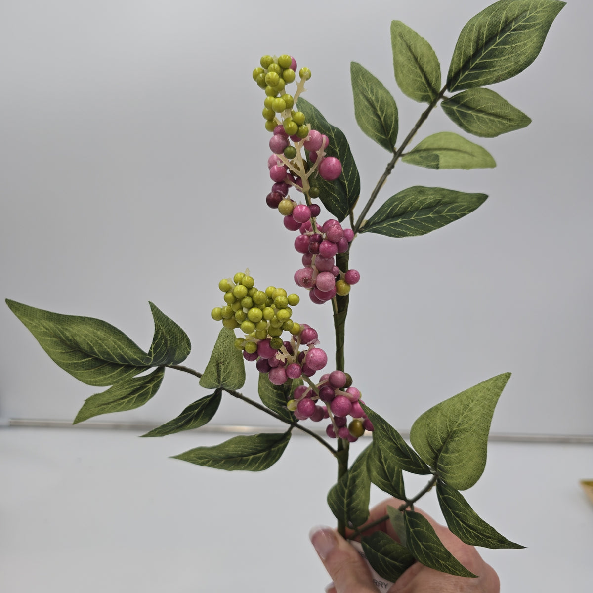 24&quot; Berry-#fsb024