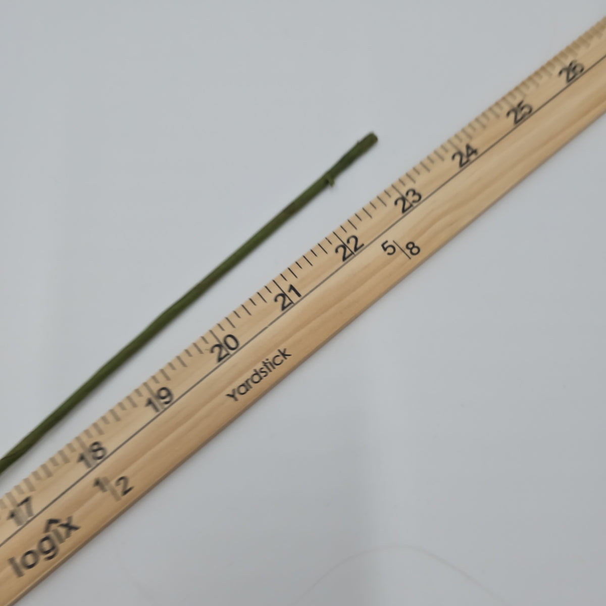 24&quot; Berry-#fsb024